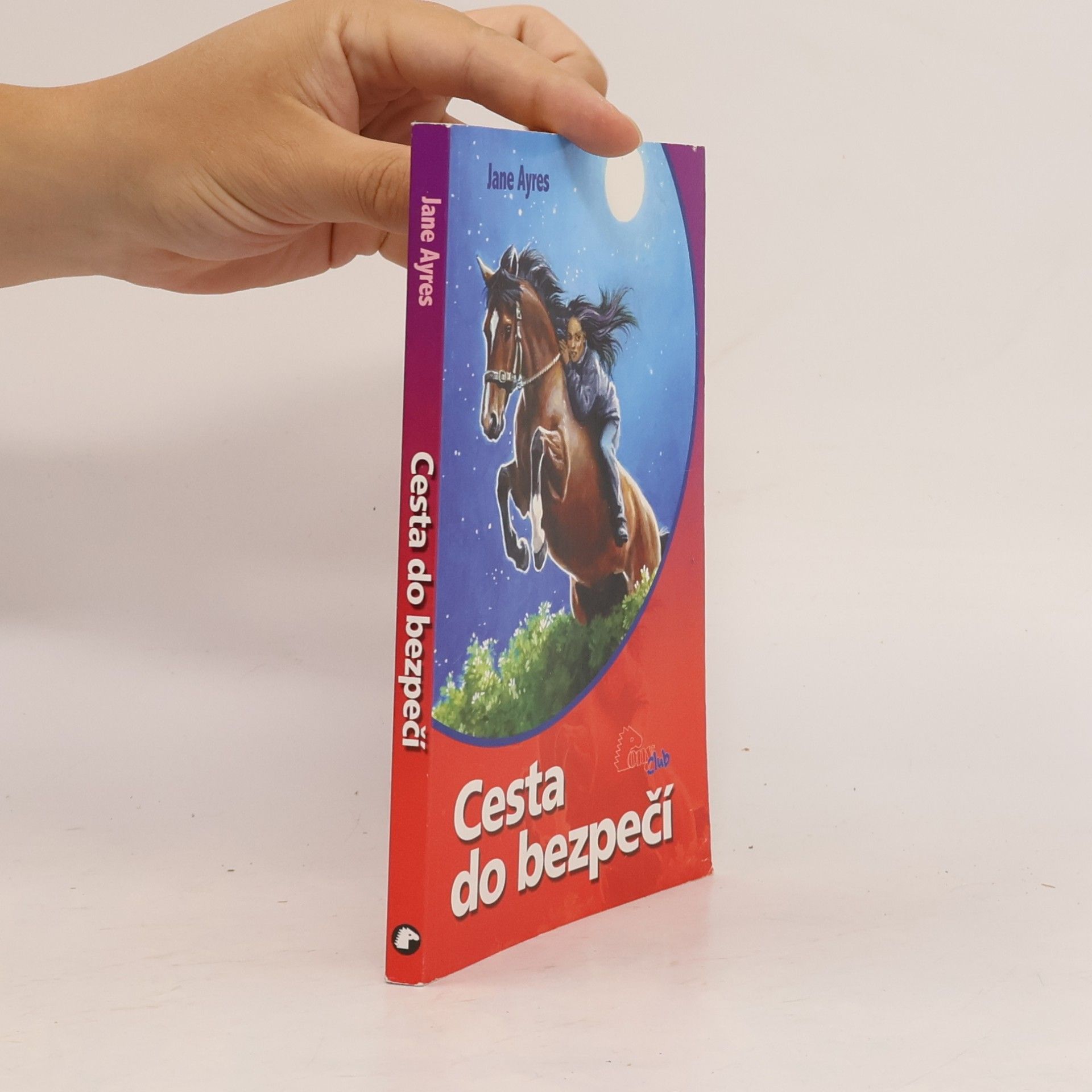 Jane Ayres Cesta do bezpečí