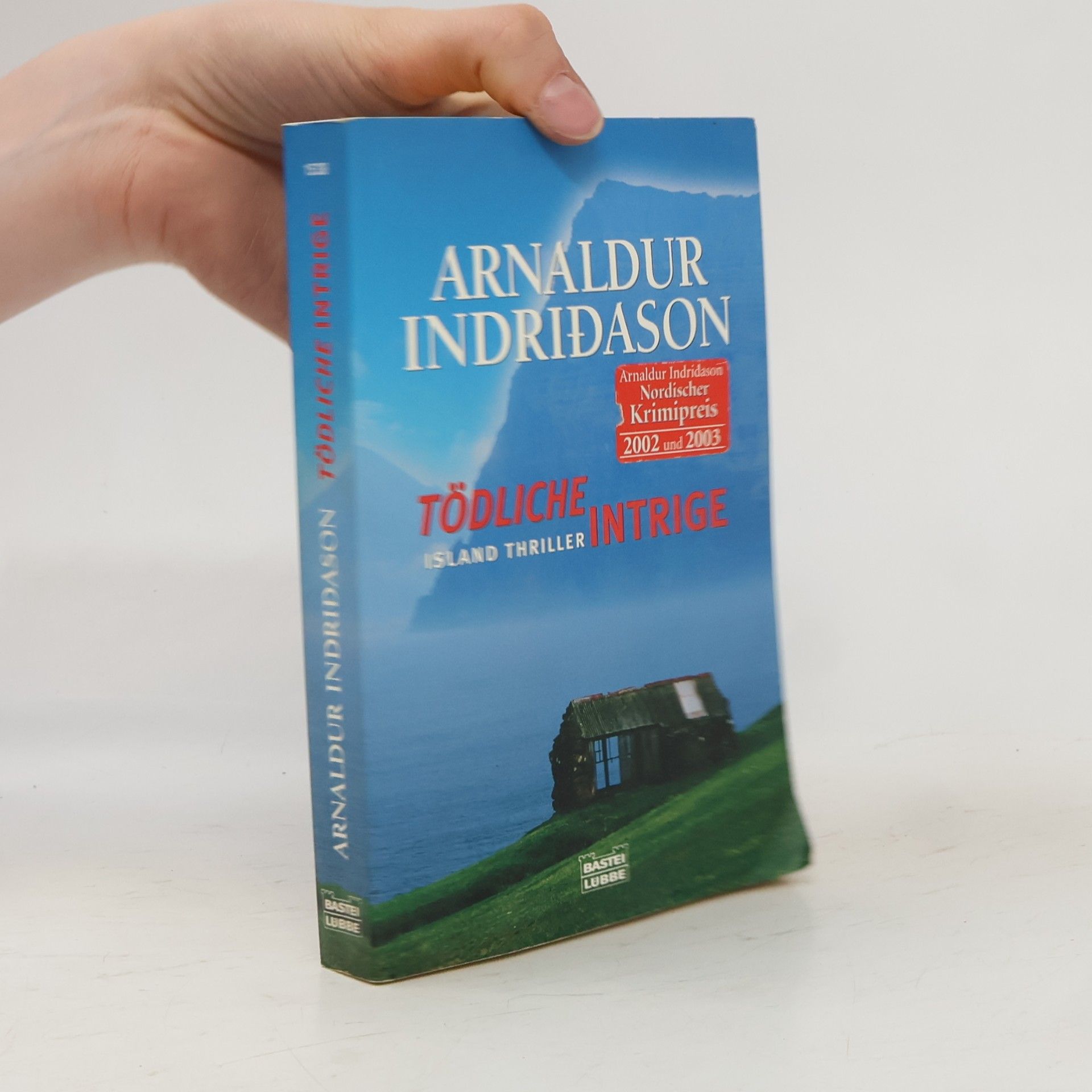 Arnaldur Indridason Tödliche Intrige