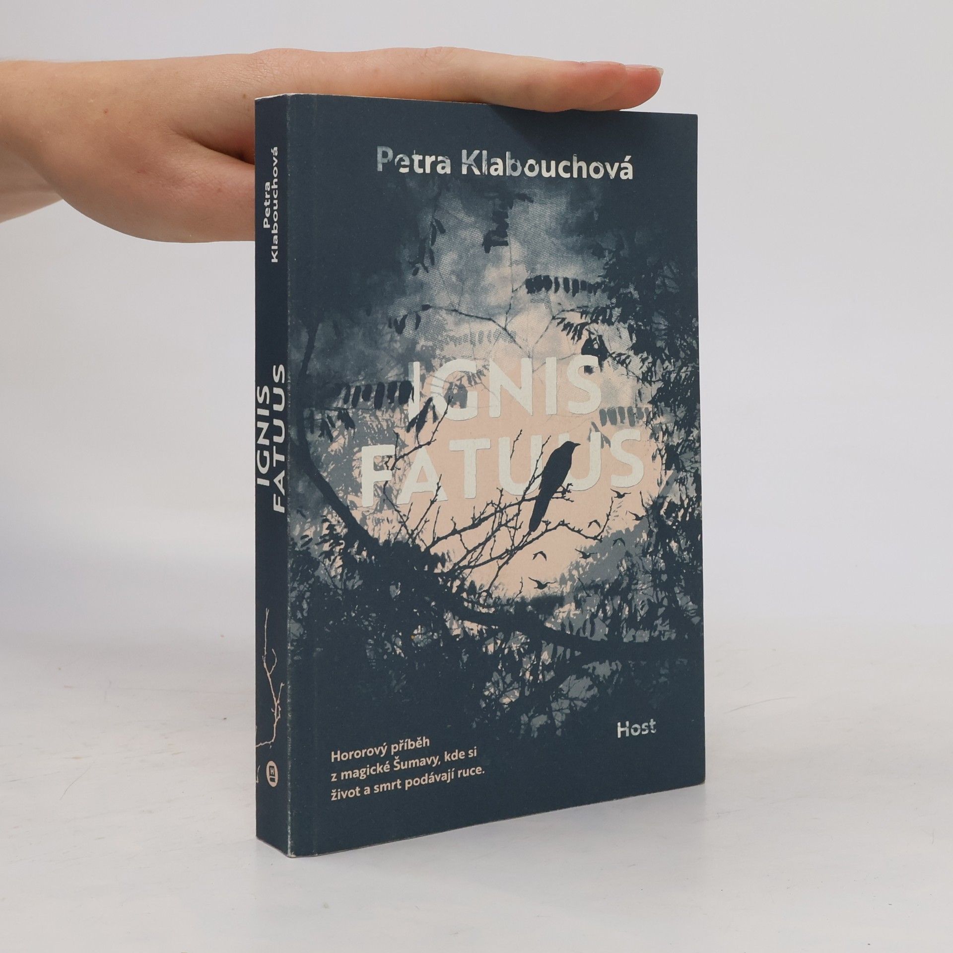 Petra Klabouchová Ignis fatuus
