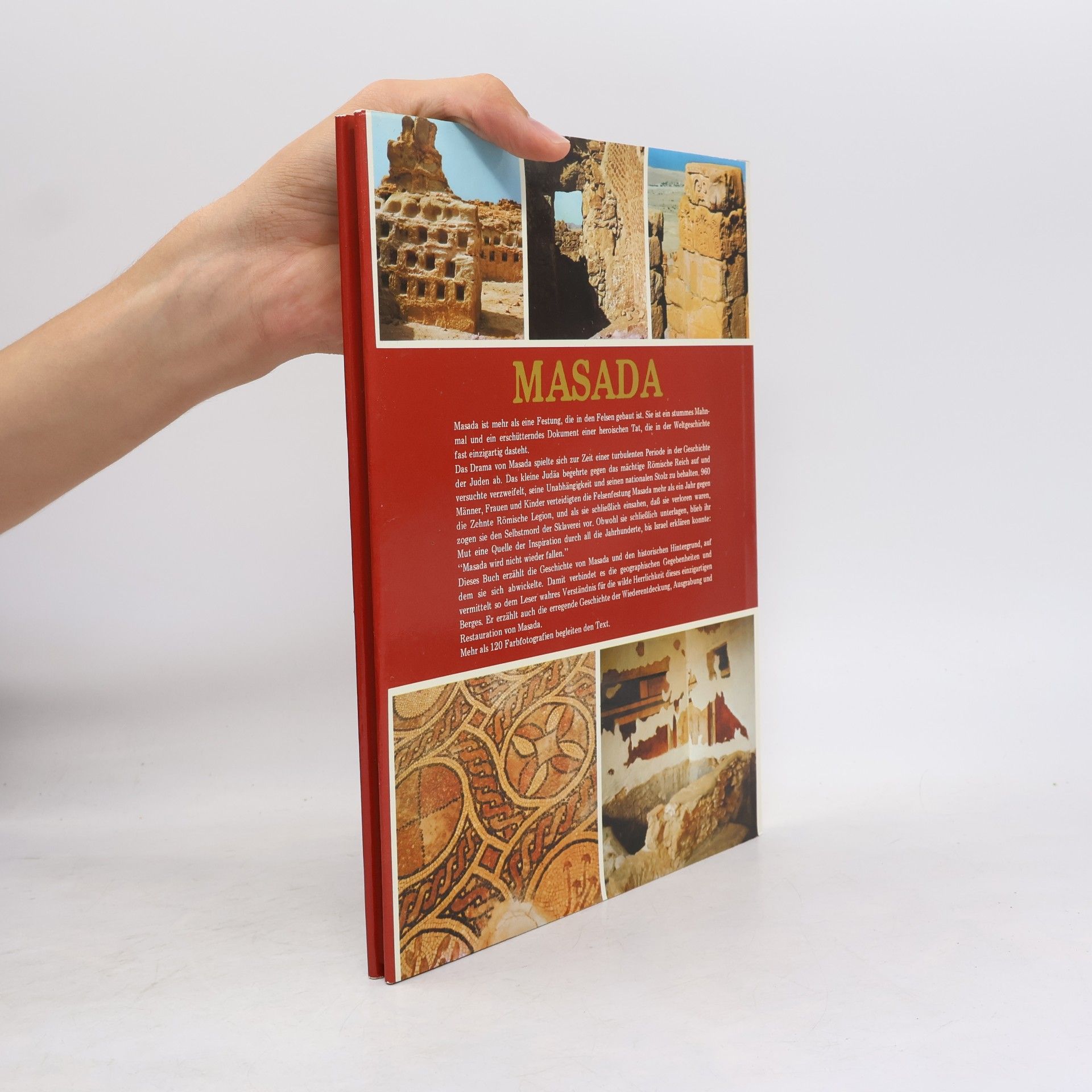 Refoel Posner Masada