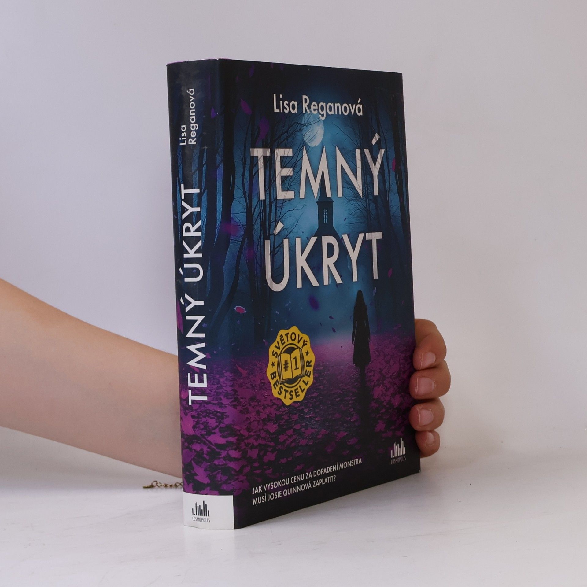 Lisa Regan Temný úkryt