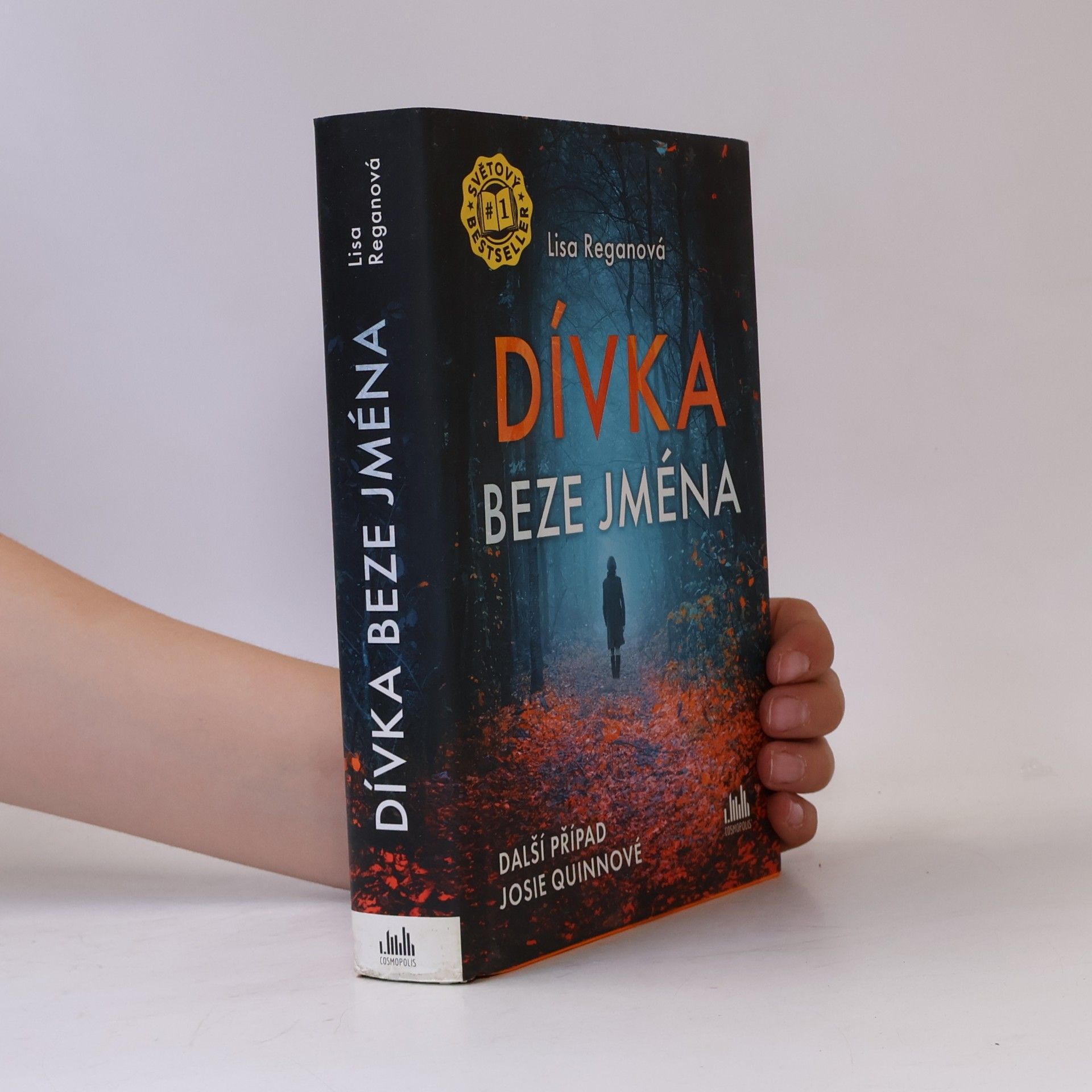 Lisa Regan Dívka beze jména: Další případ Josie Quinnové