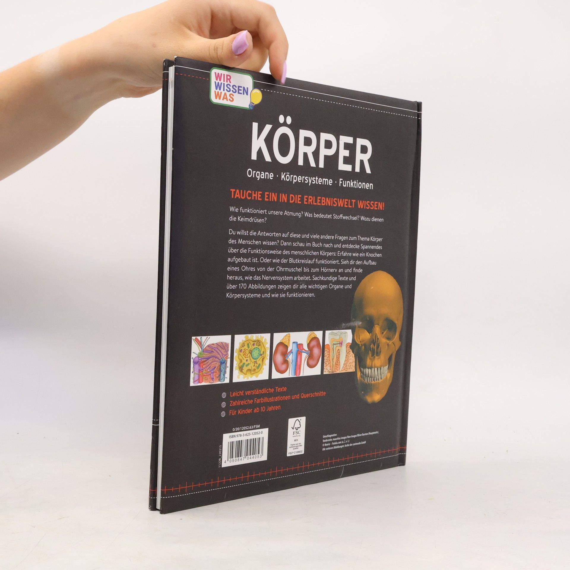 Autorenkollektiv Körper