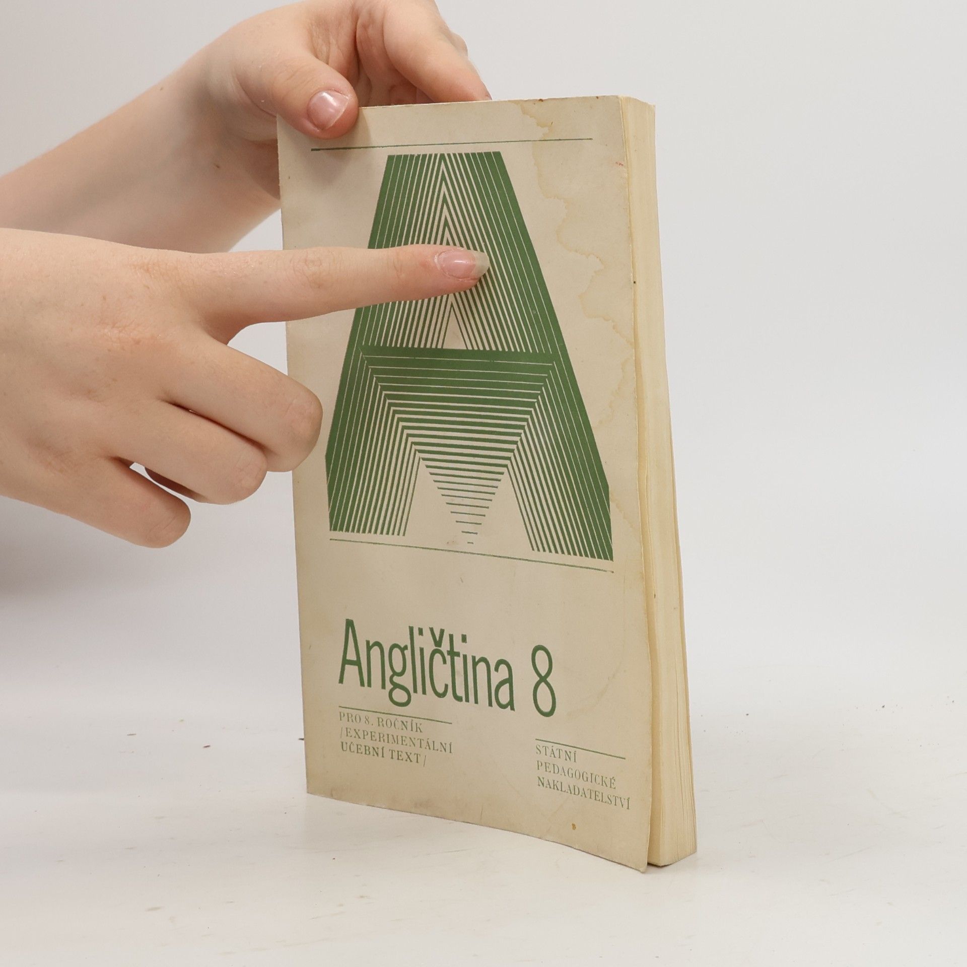 Anna Benešová Angličtina 8