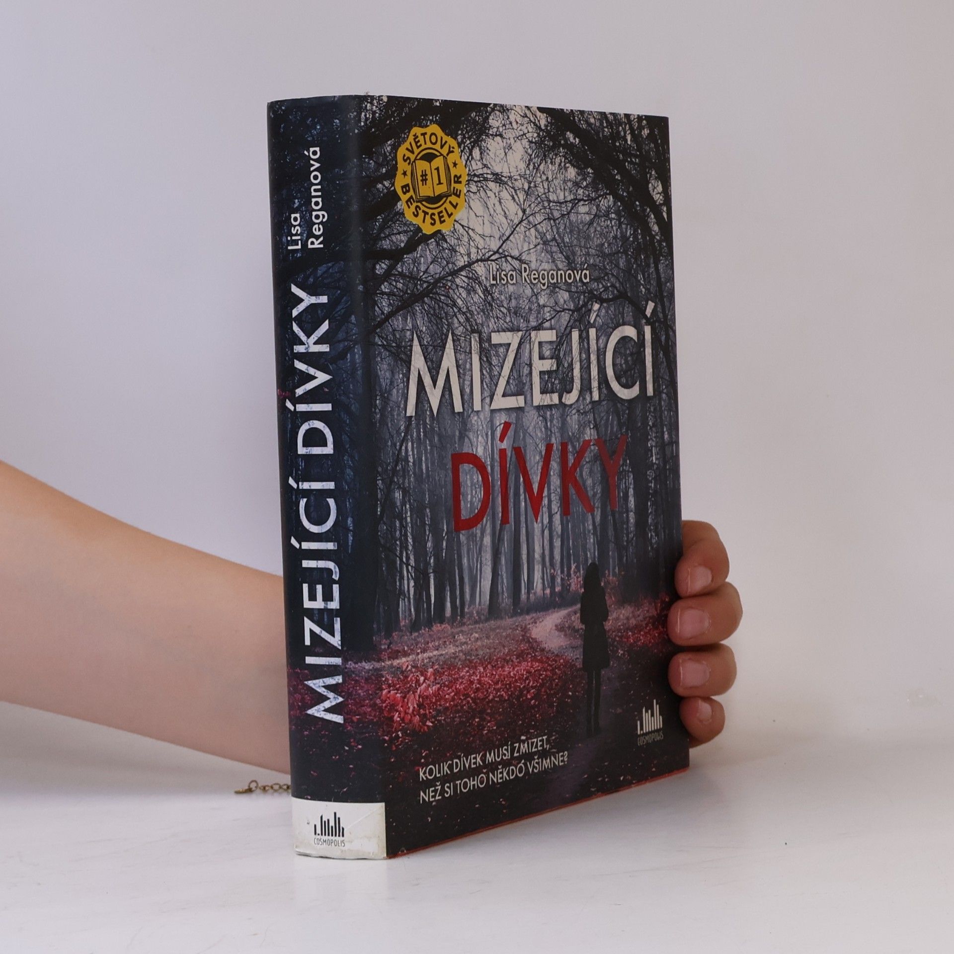 Lisa Regan Mizející dívky