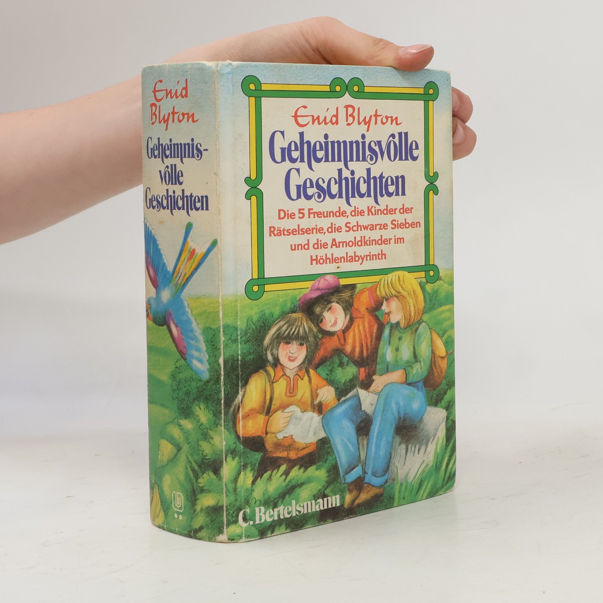 Enid Blyton Geheimnisvolle Geschichten