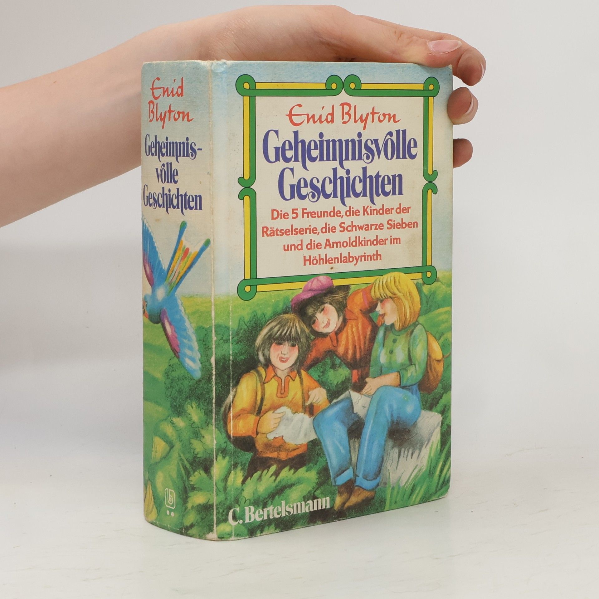 Enid Blyton Geheimnisvolle Geschichten