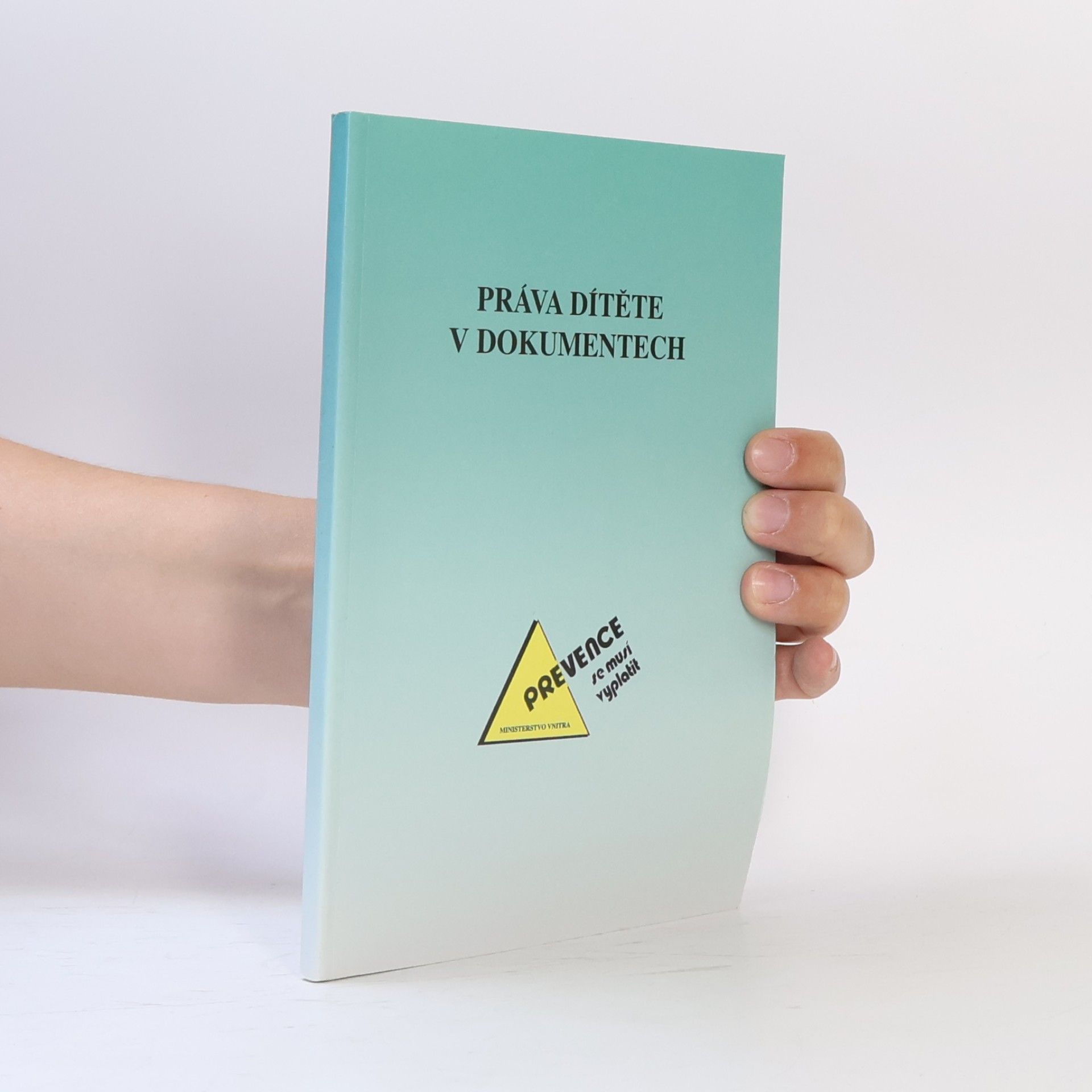 Kolektiv autorů Práva dítěte v dokumentech
