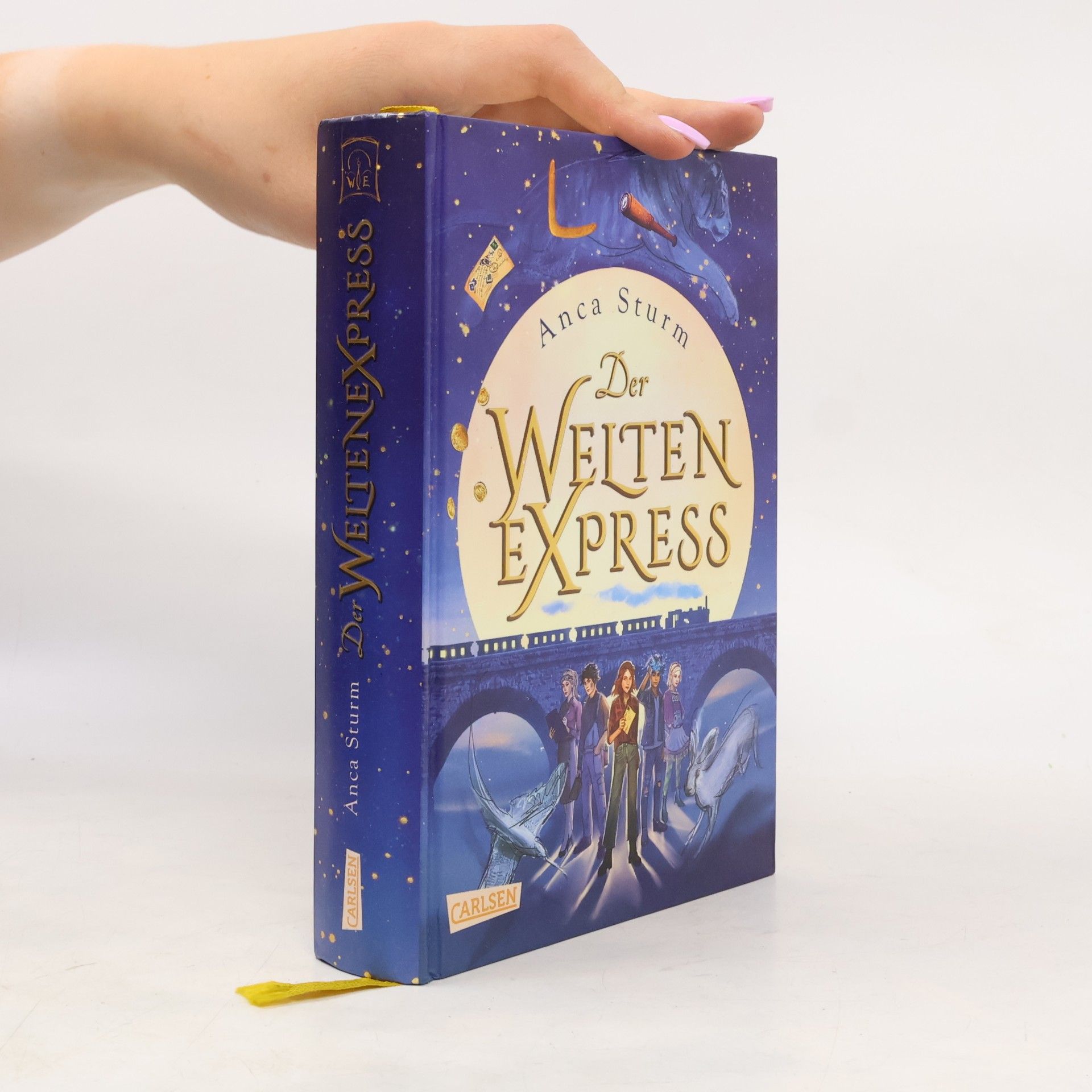 Anca Sturm Der Weltenexpress
