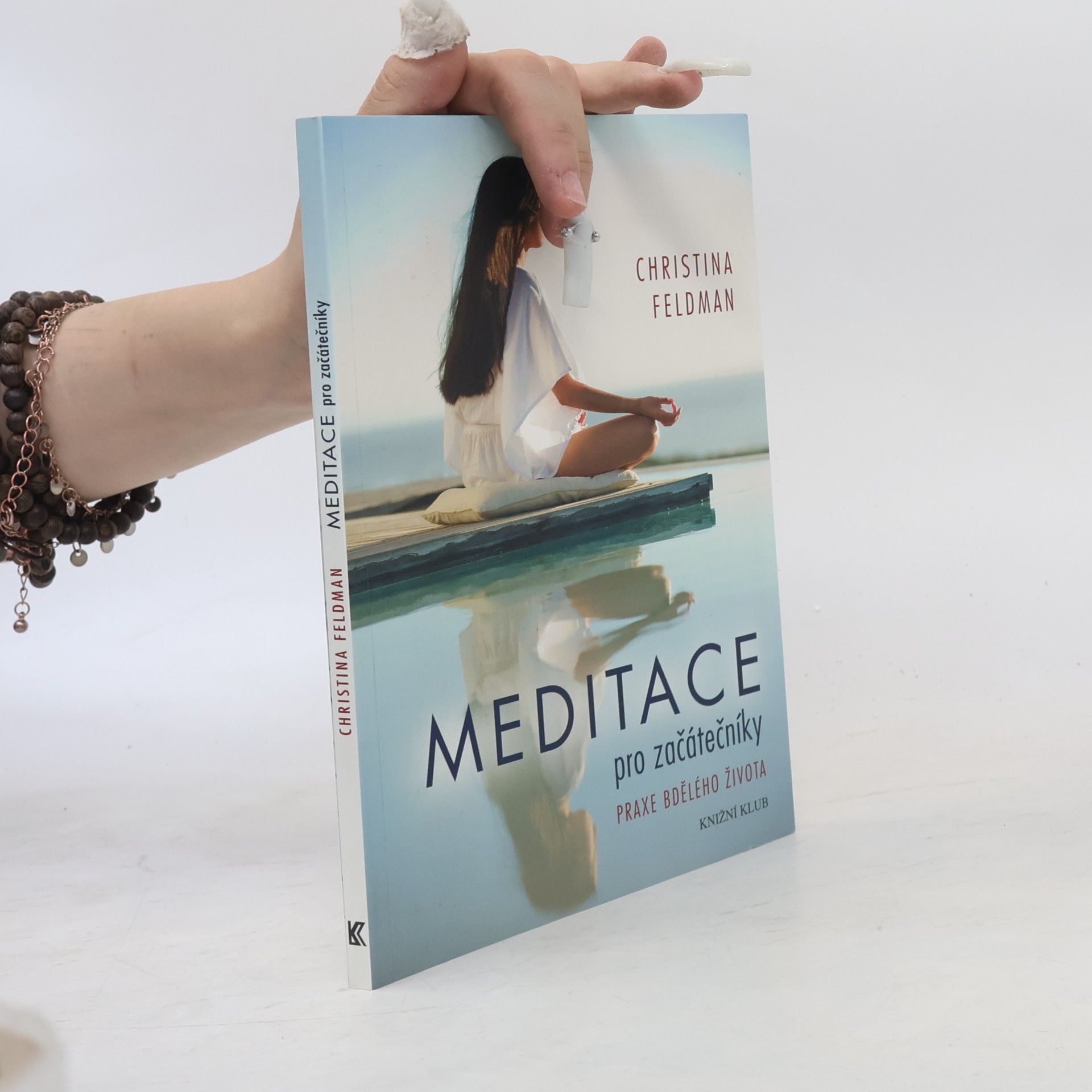 Christina Feldman Meditace pro začátečníky. Praxe bdělého života