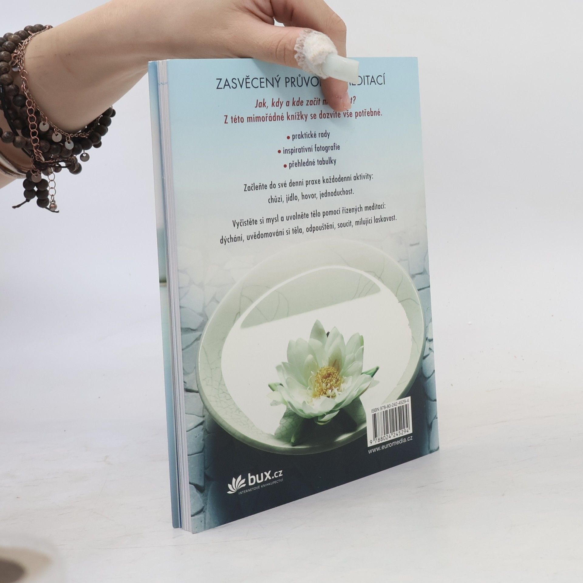 Christina Feldman Meditace pro začátečníky. Praxe bdělého života