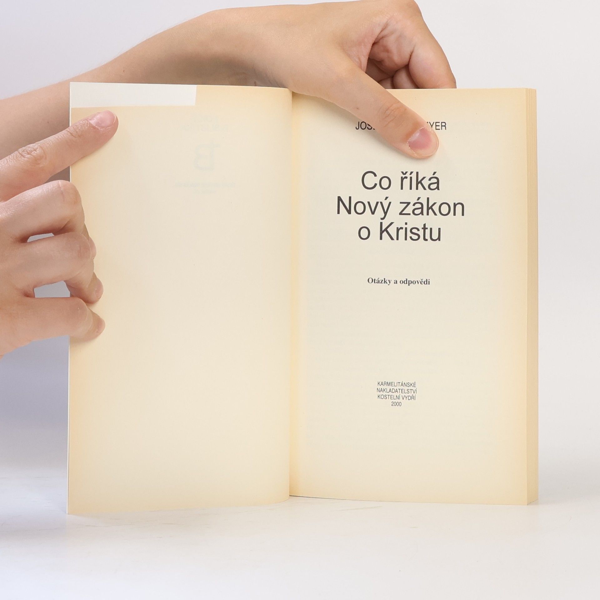 Joseph A. Fitzmyer Co říká Nový zákon o Kristu