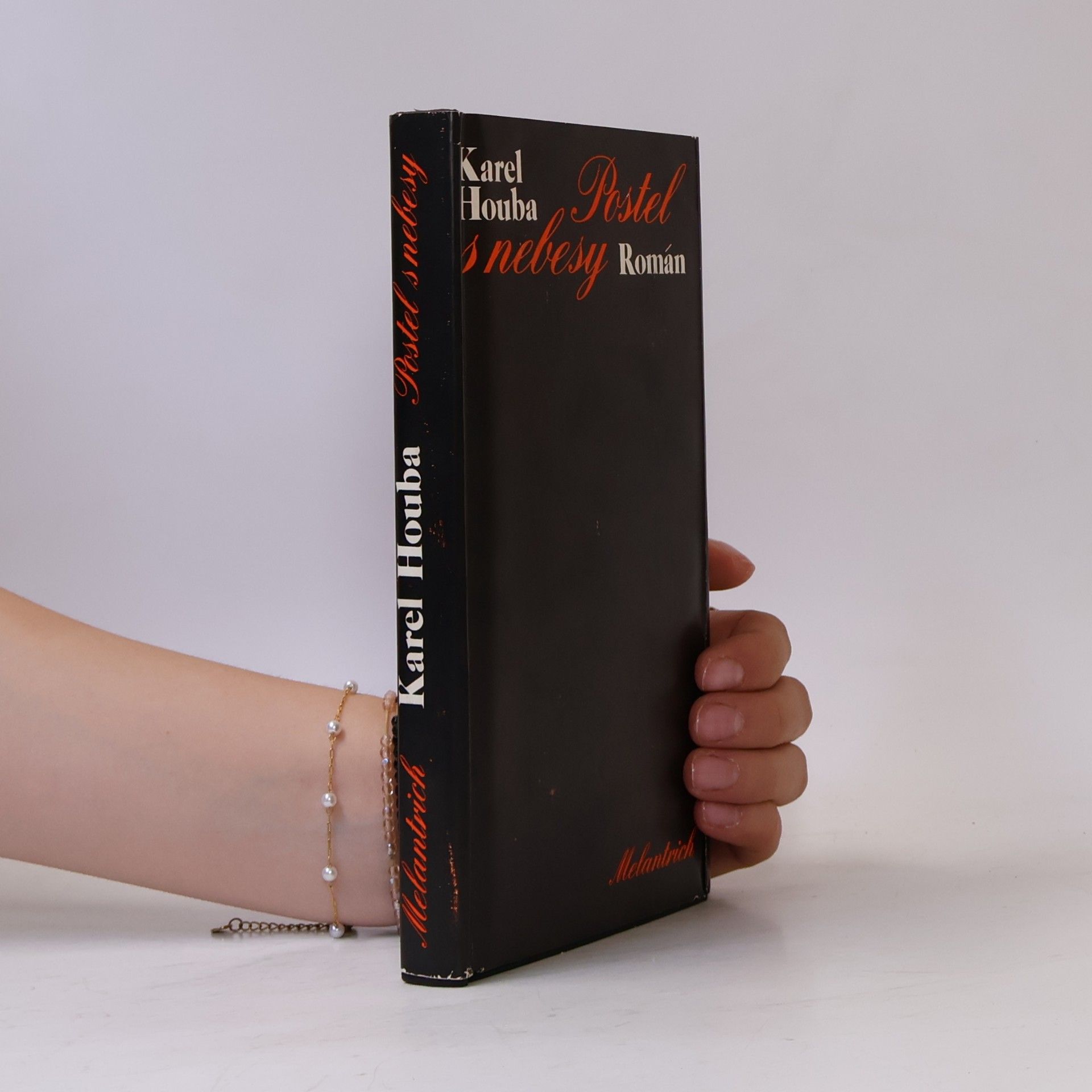 Karel Holub Postel s nebesy