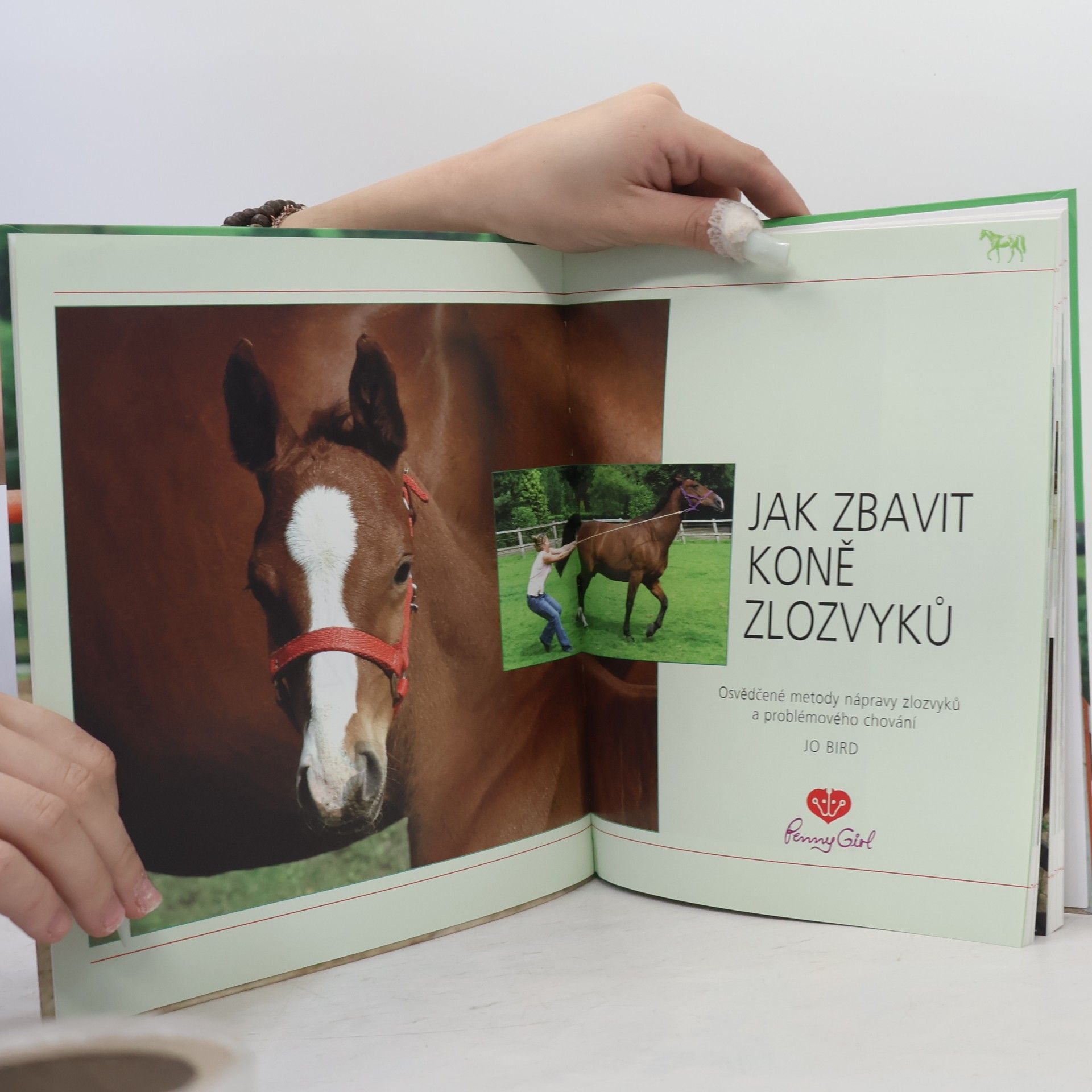 Neil Sutherland Jak zbavit koně zlozvyků