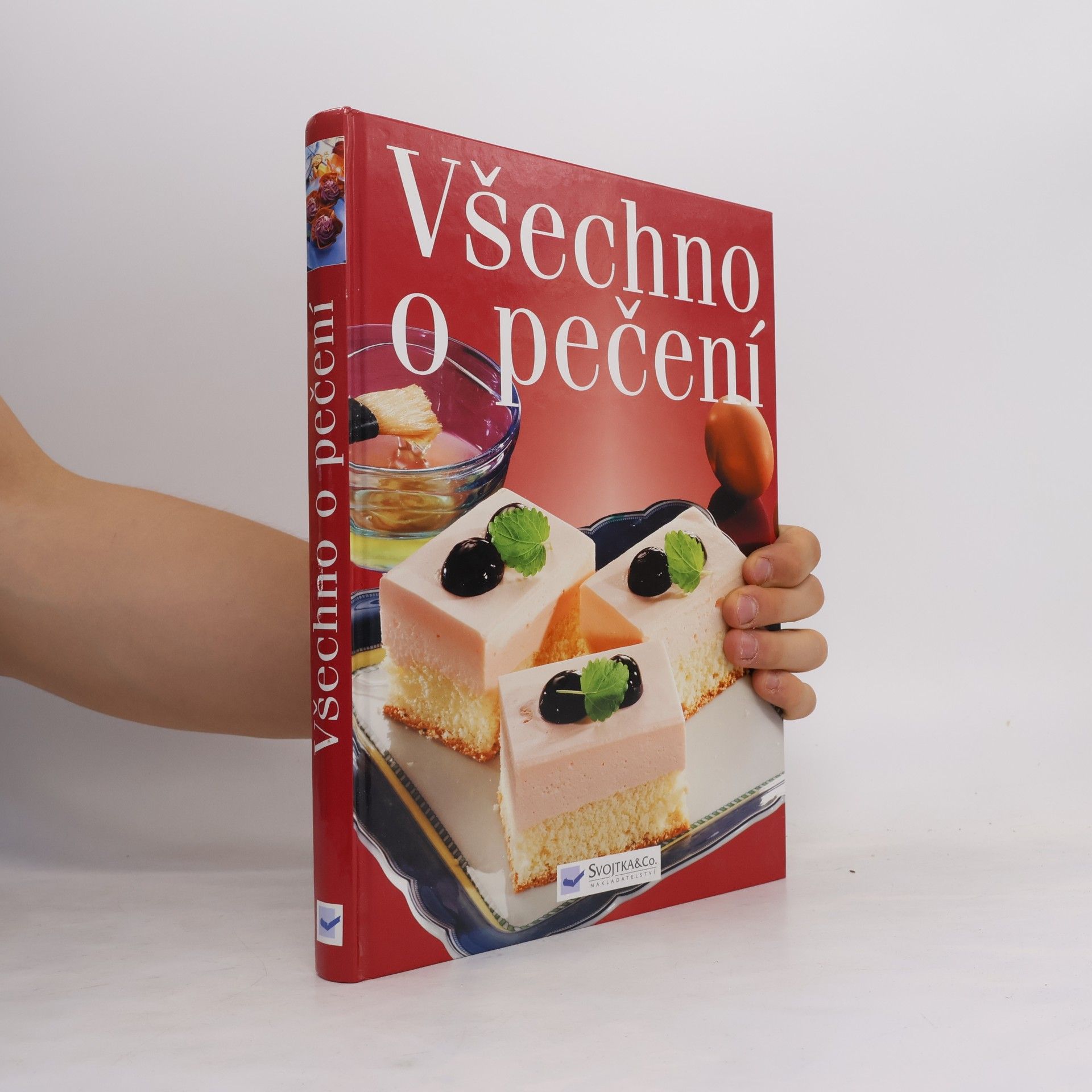 Autorenkollektiv Všechno o pečení