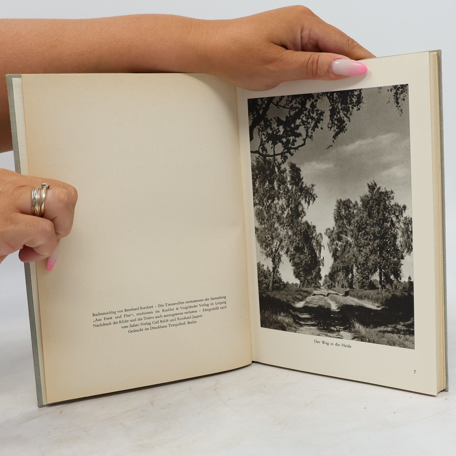 Hermann Löns Im Wald und auf der Heide