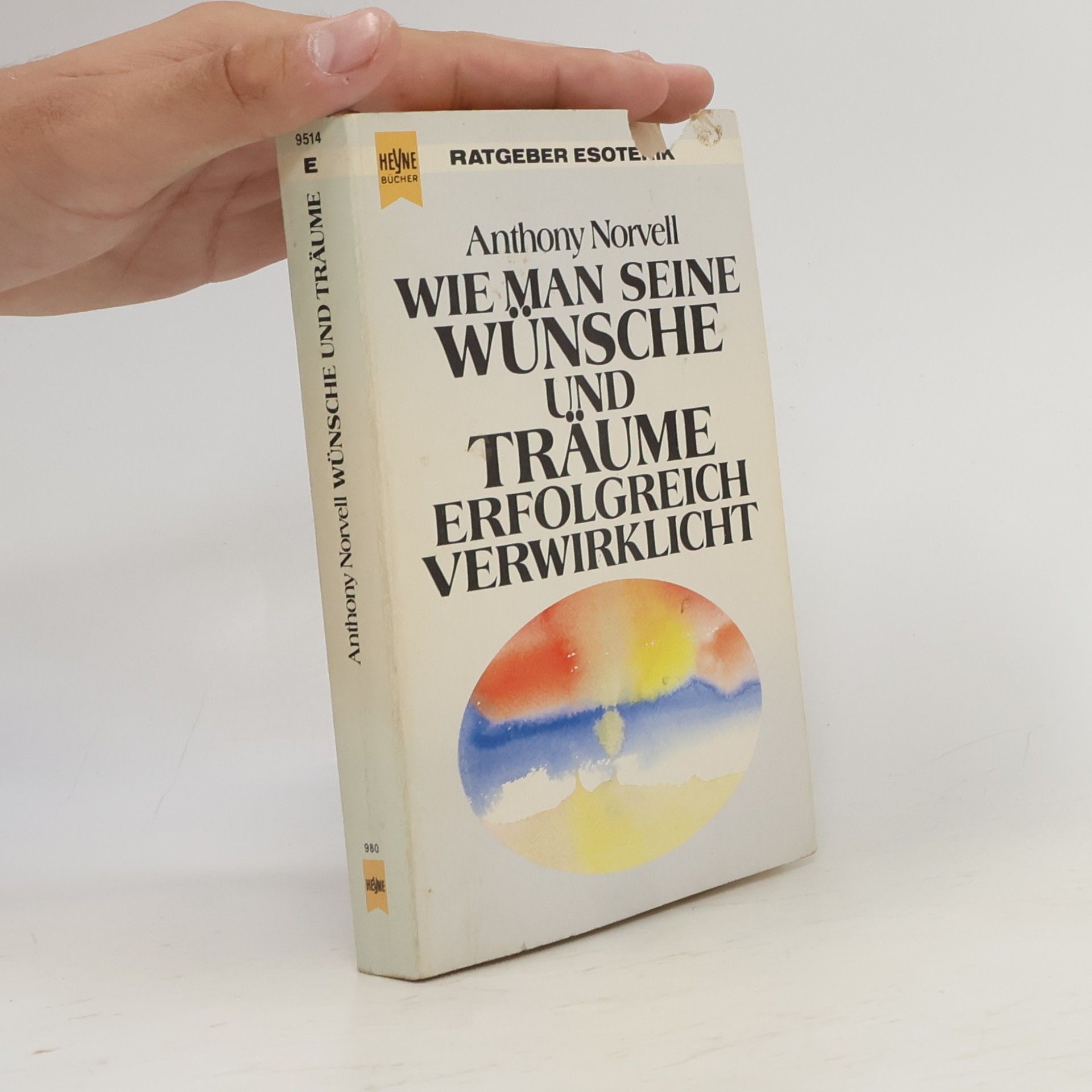 Wie man seine Wünsche und Träume erfolgreich verwirklicht