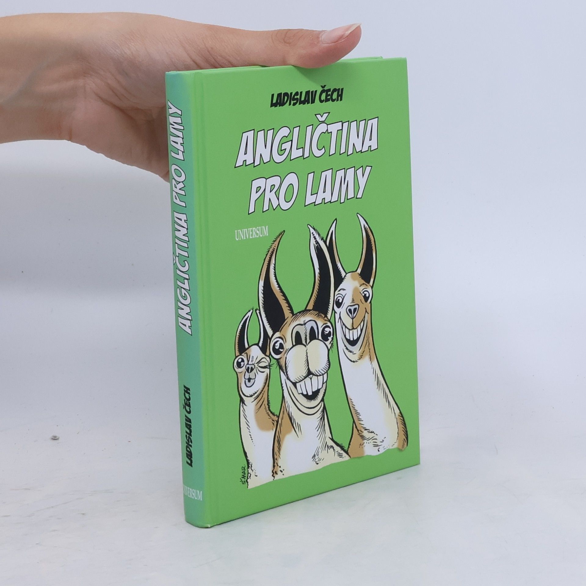 Ladislav Čech Angličtina pro lamy