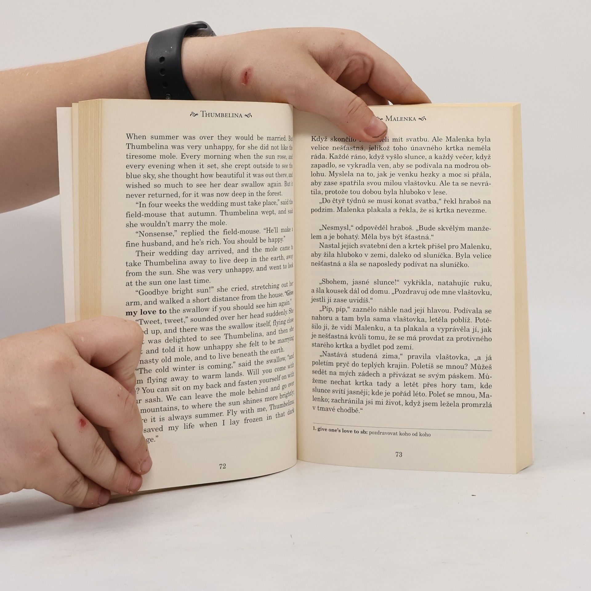 Ashley Davies Fairy tales. Pohádky