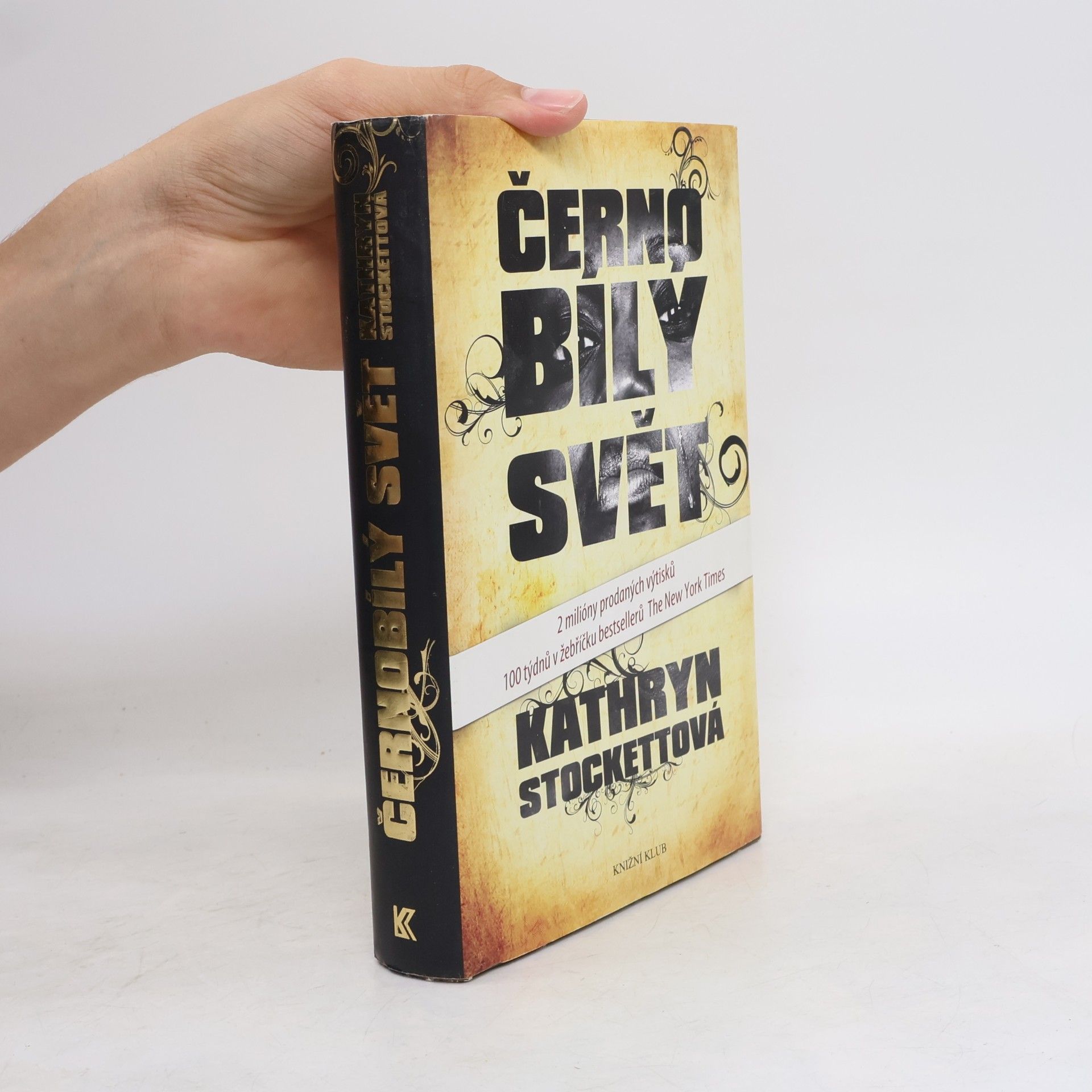 Kathryn Stockett Černobílý svět