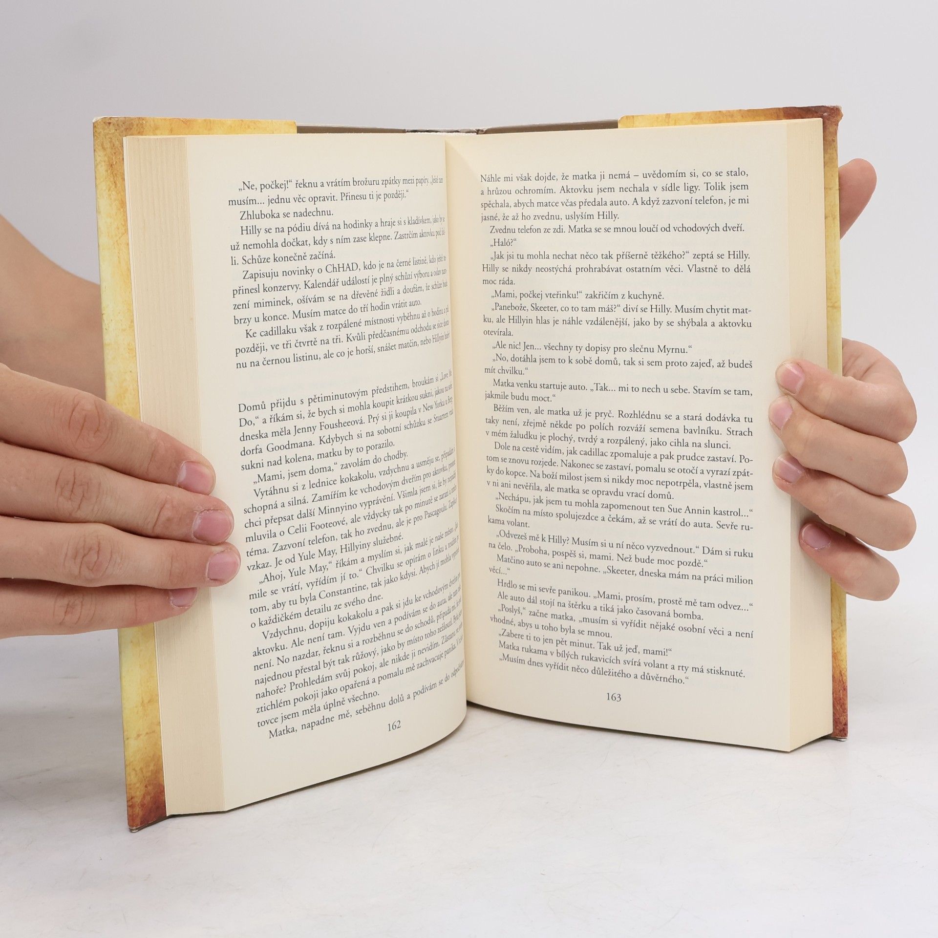 Kathryn Stockett Černobílý svět