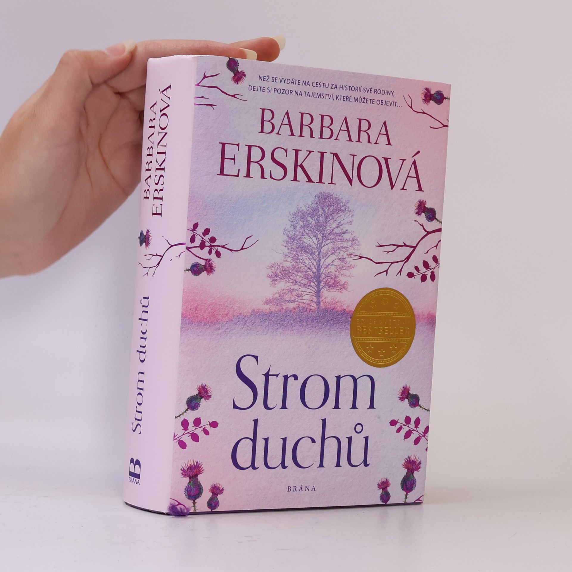 Barbara Erskine Strom duchů