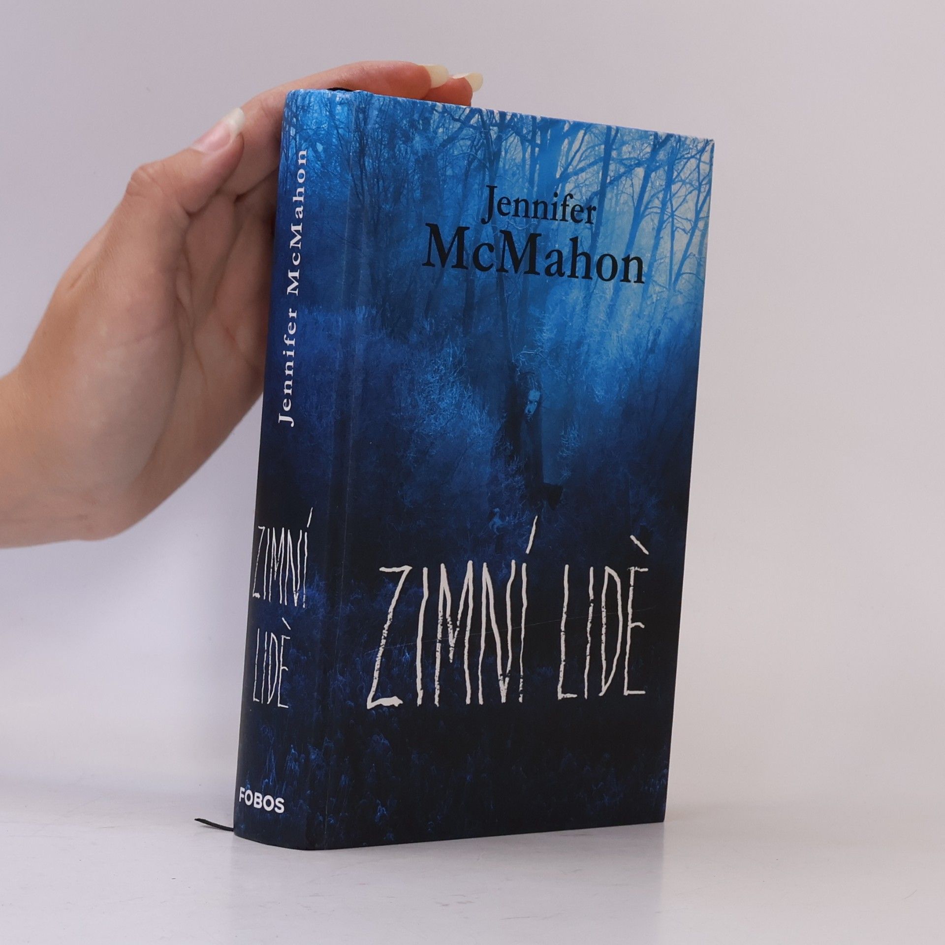 Jennifer McMahon Zimní lidé
