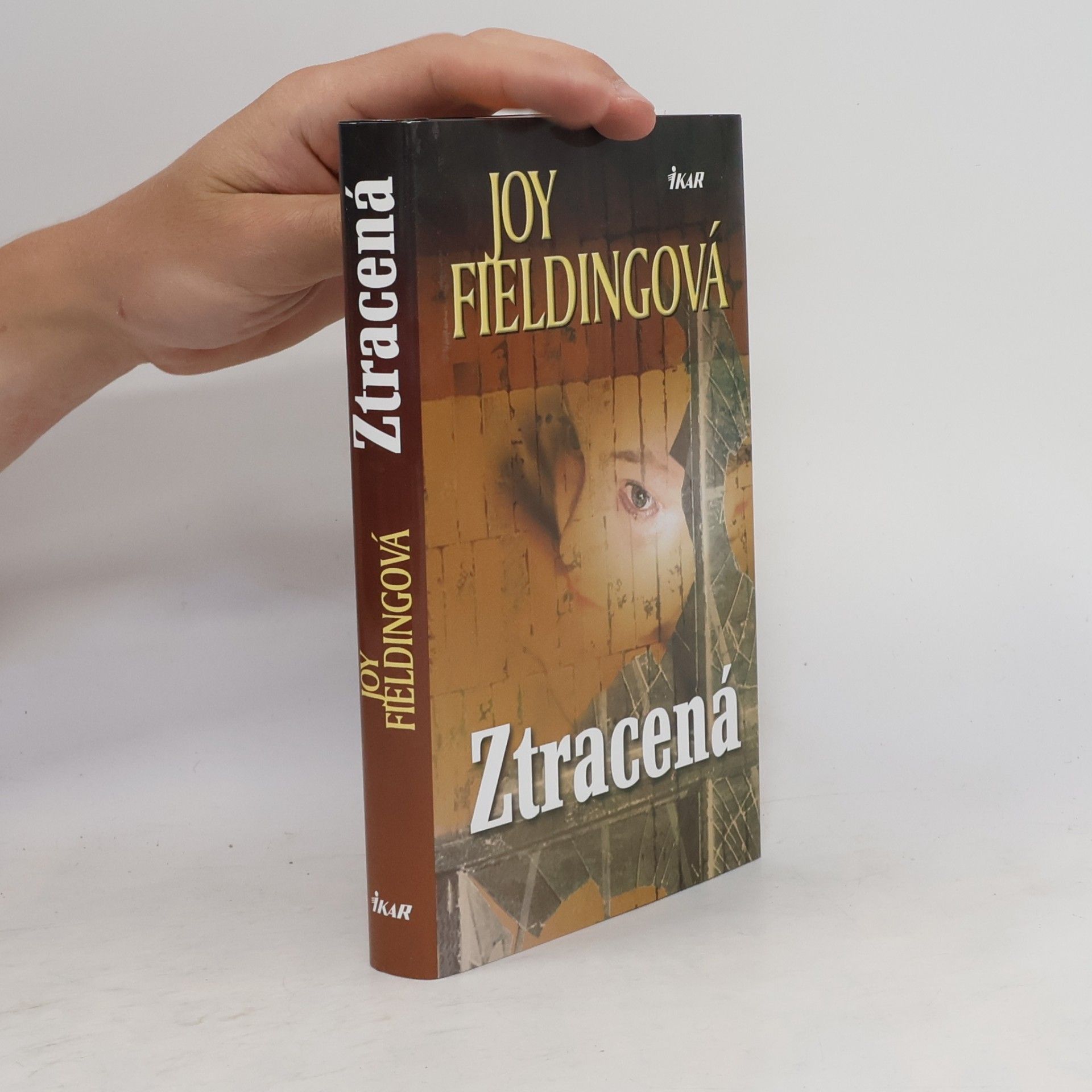 Joy Fielding Ztracená