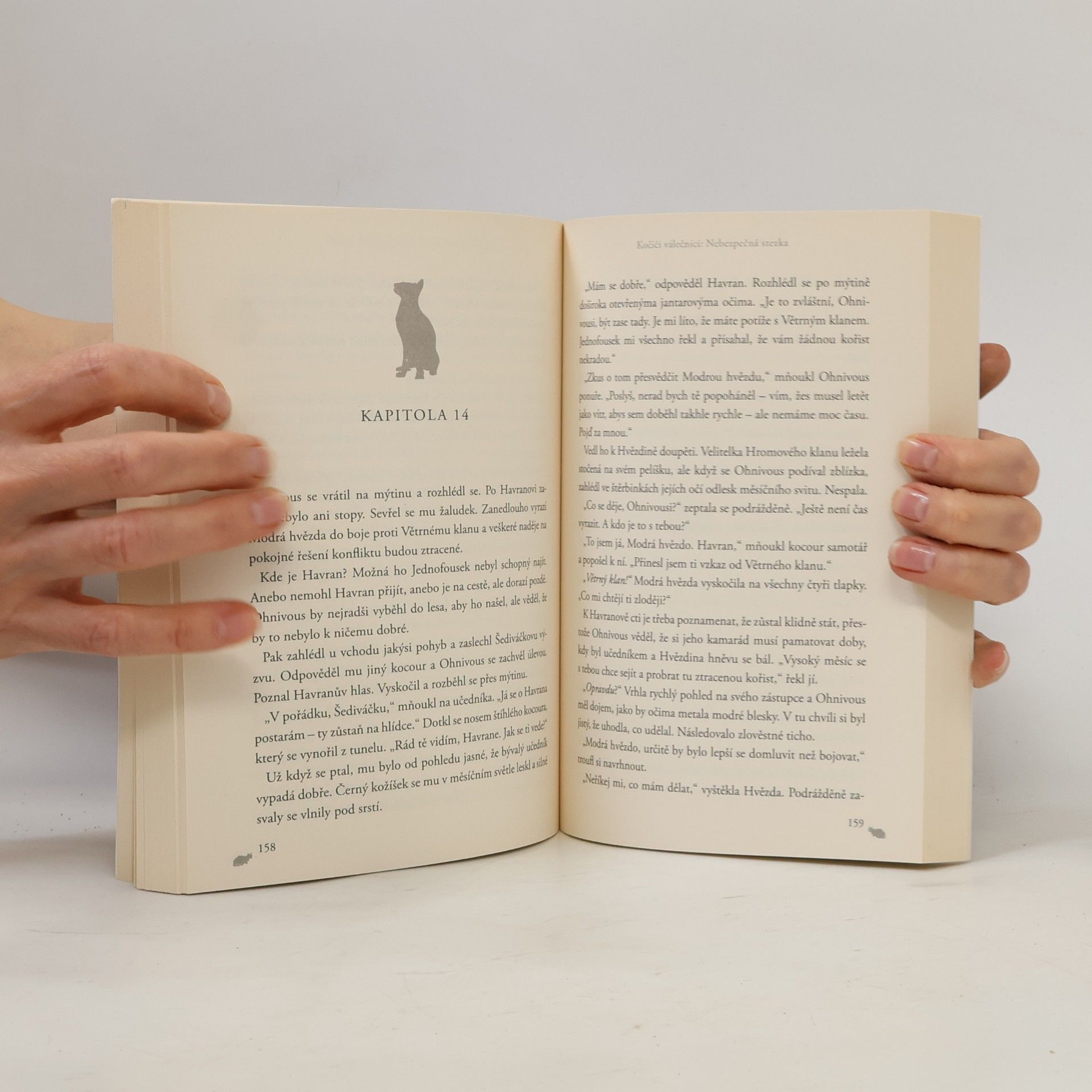 Erin Hunter Nebezpečná stezka. Kočičí válečníci