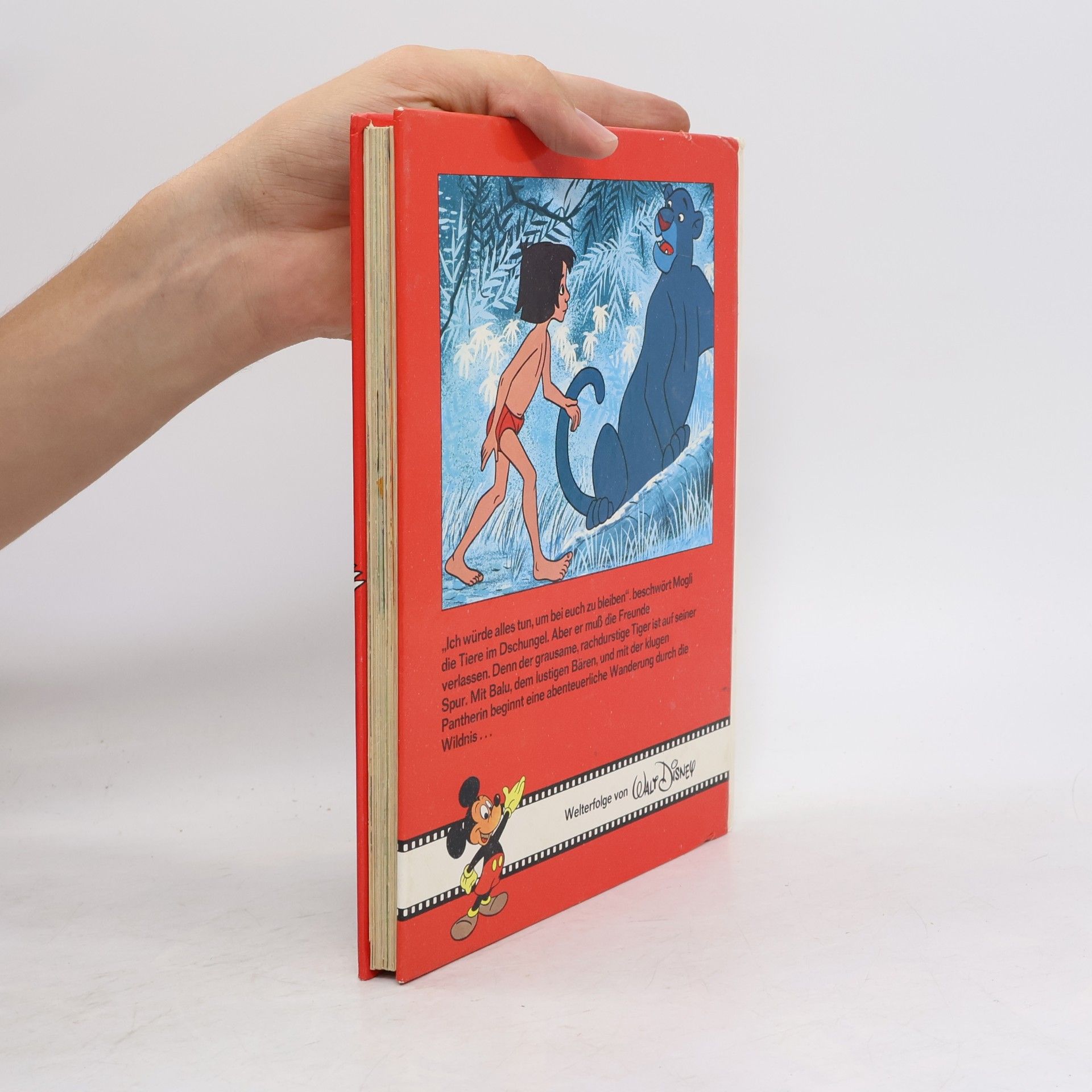 Autorenkollektiv Das Dschungel-Buch