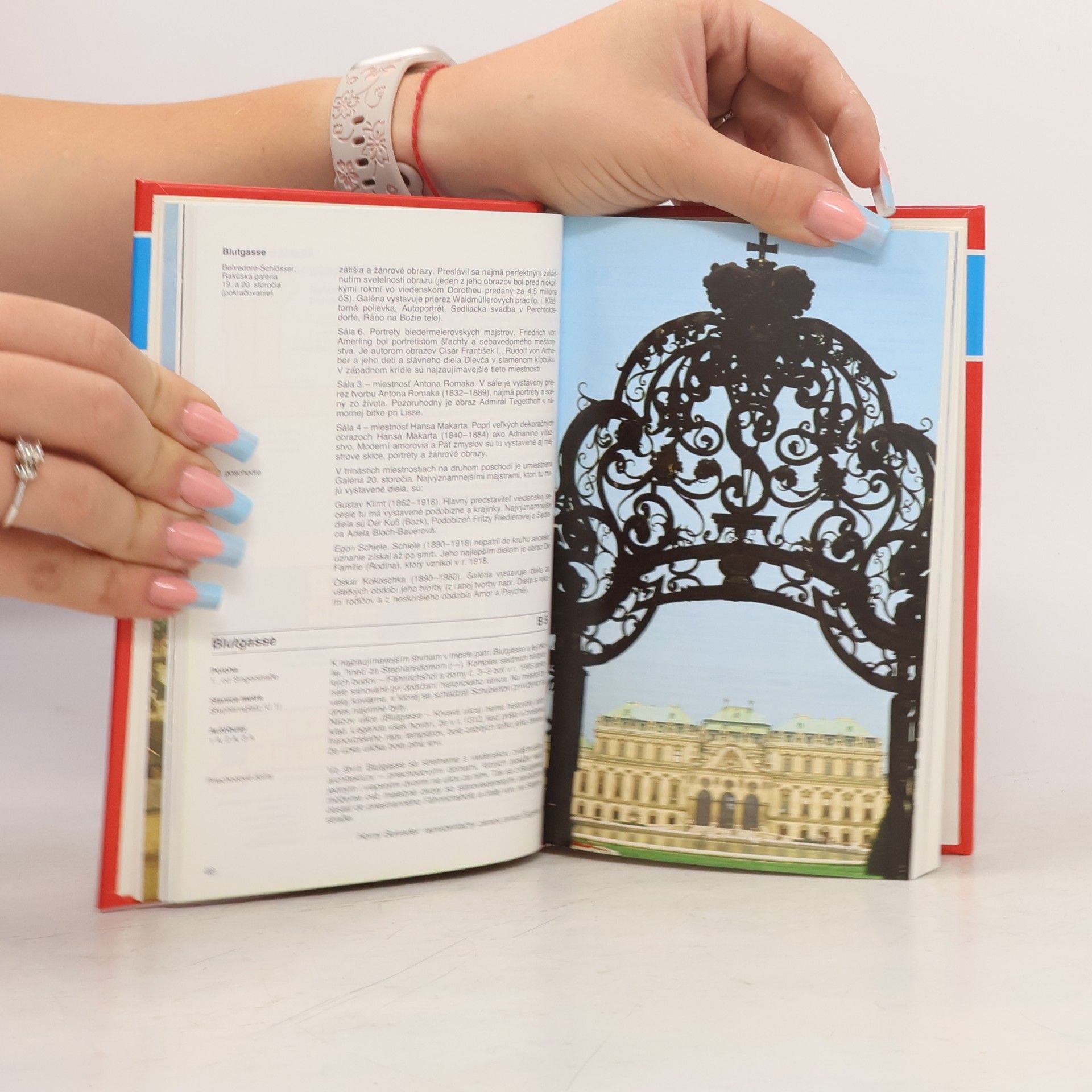Kolektiv autorů Baedeker : Turistický sprievodca : Viedeň