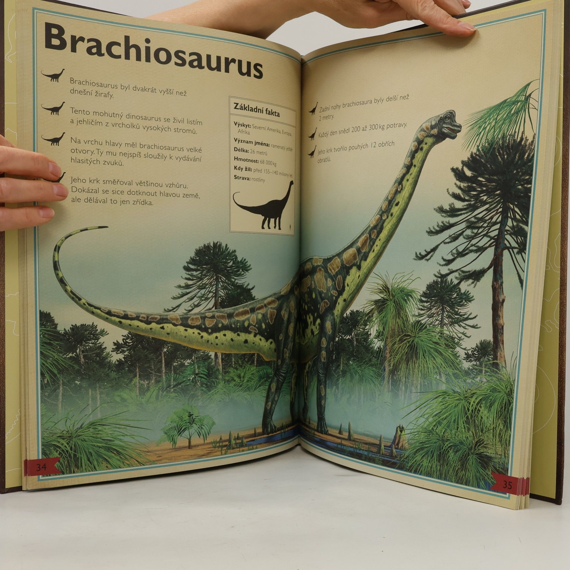 Jackson Tom Velkolepá kniha o dinosaurech