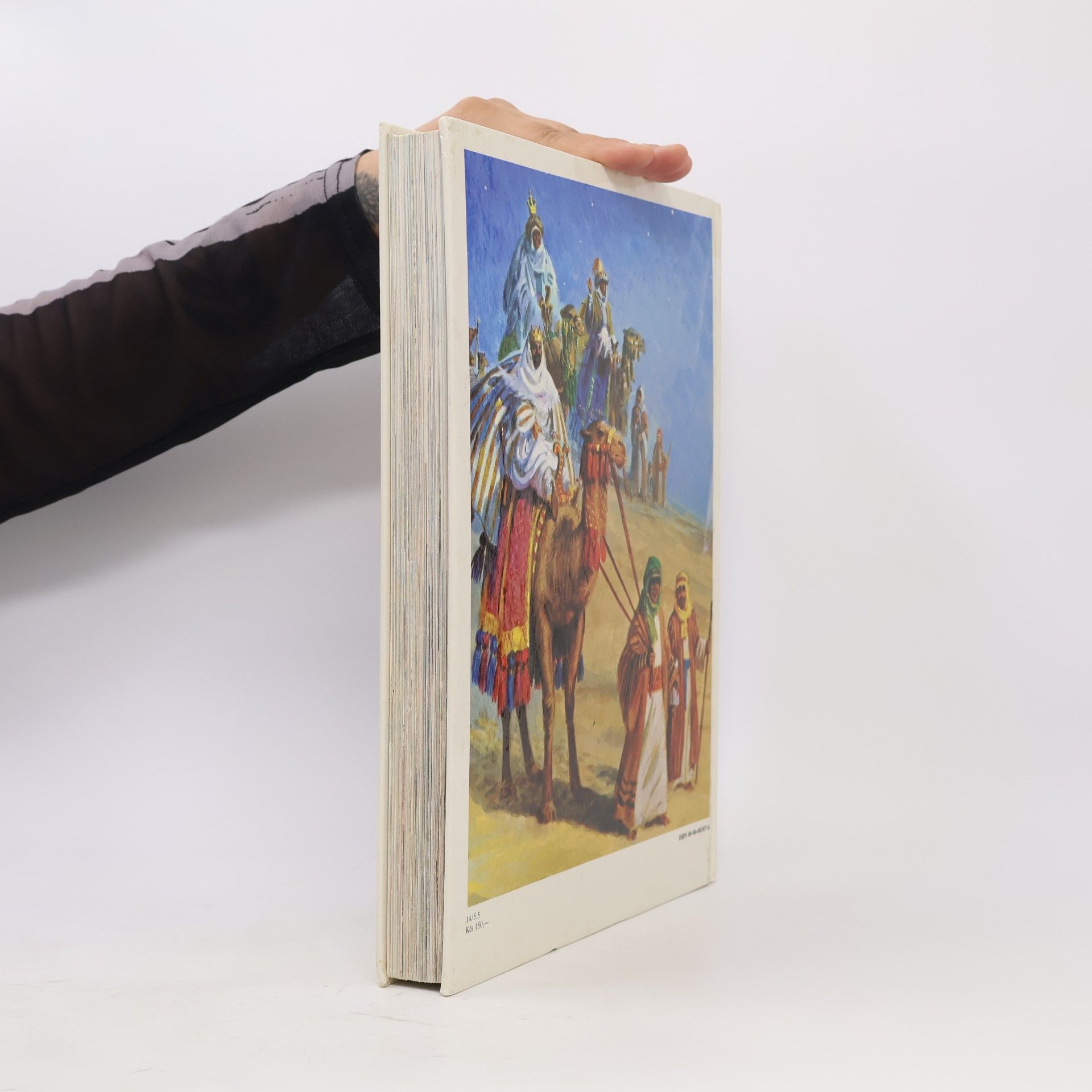 Bridget Hadaway Biblia pre deti