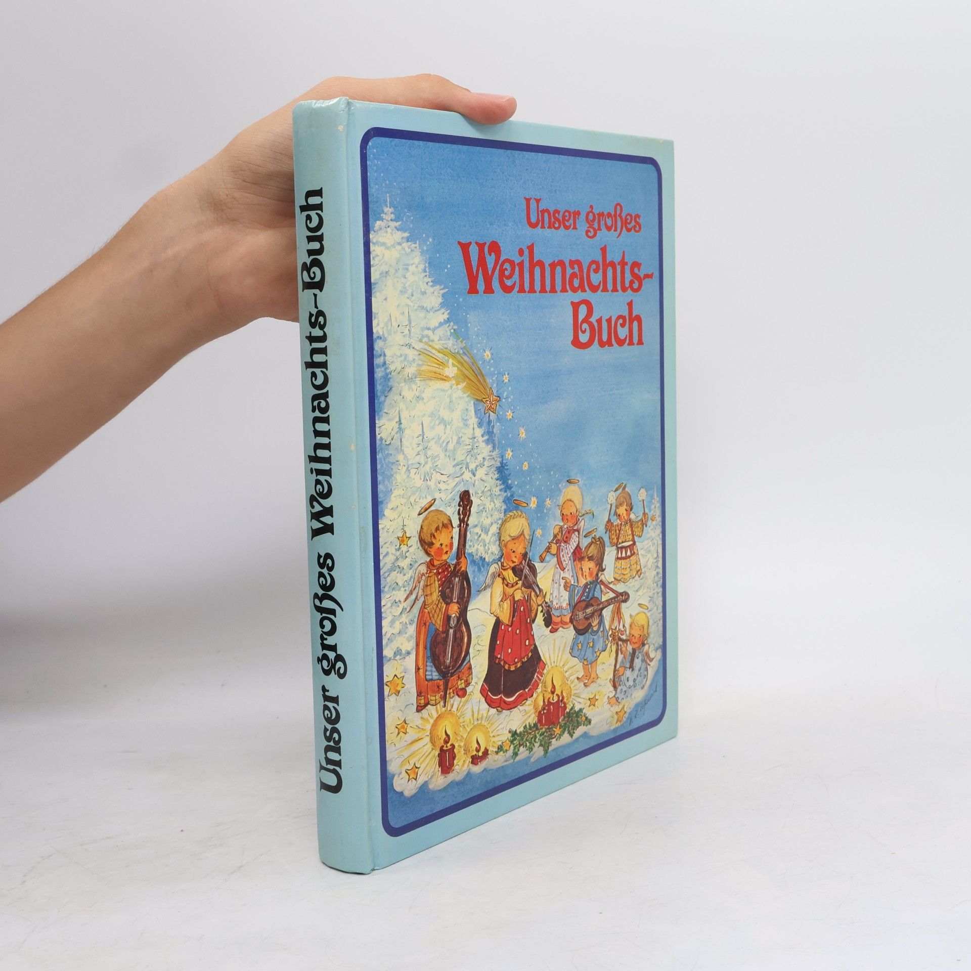 Autorenkollektiv Unser großes Weihnachts-Buch