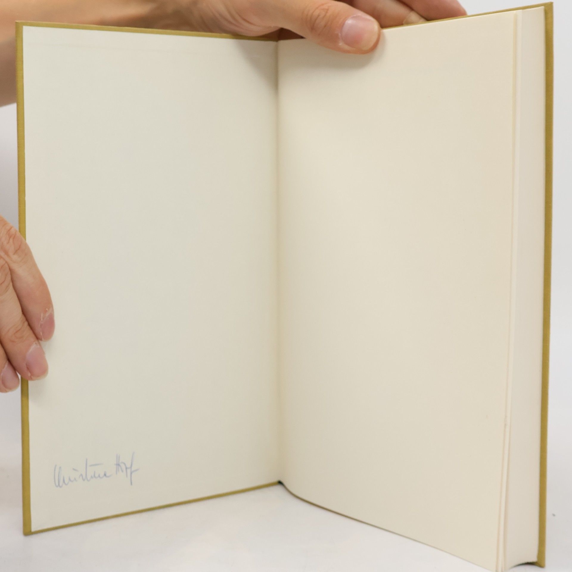 Paul Konrad Kurz Kunstler Tribun Apostel