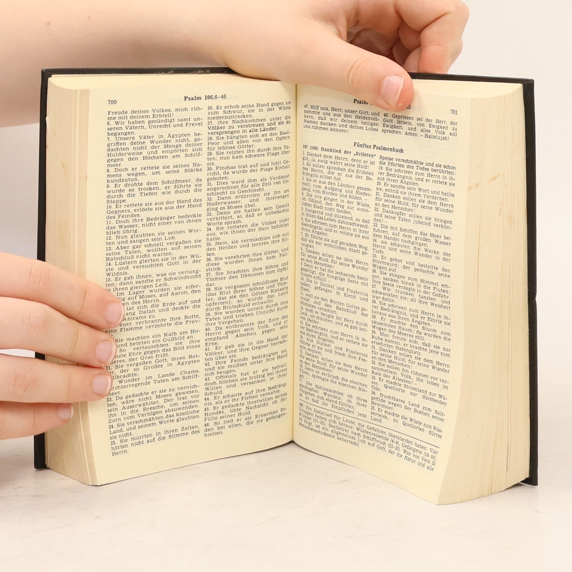 Vinzenz Hamp Die Heilige Schrift des Alten und Neuen Testaments