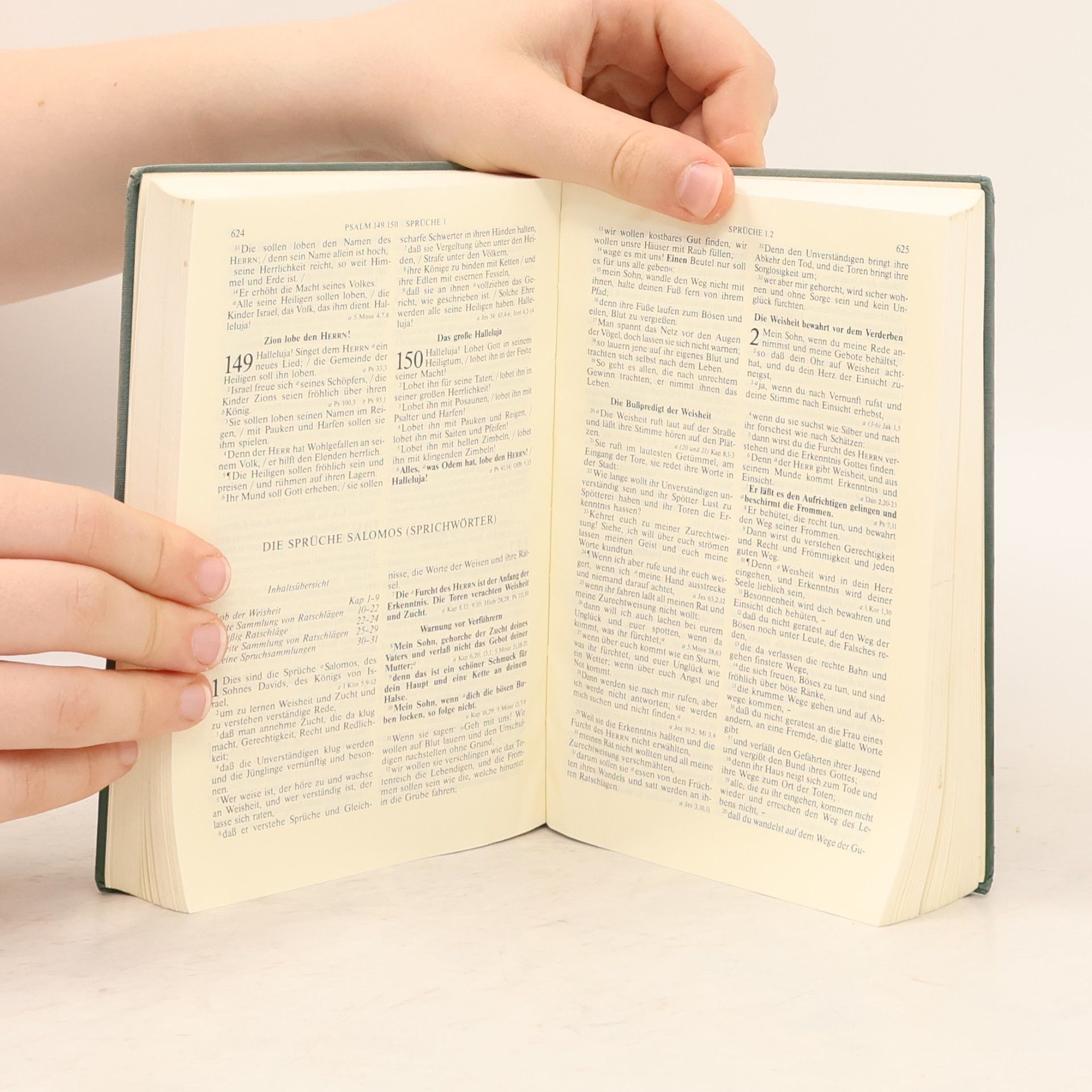 Martin Luther Die Bibel