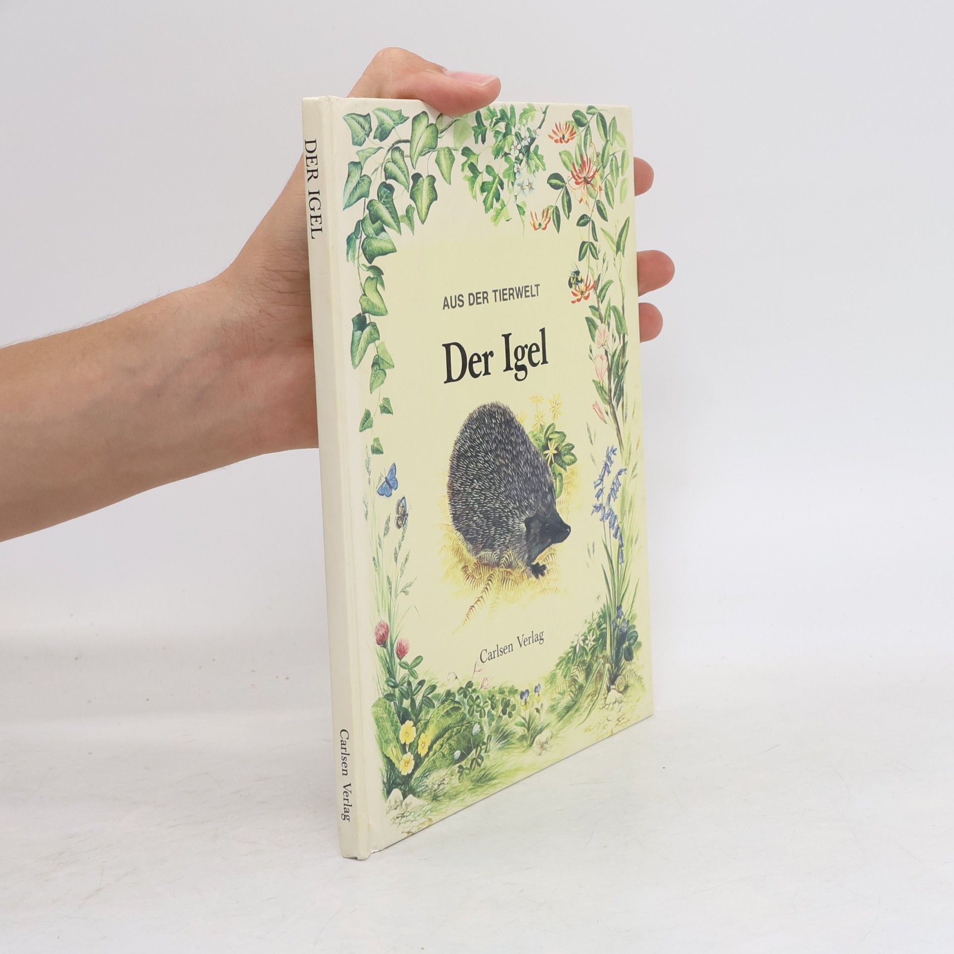 Angela Sheehan Aus der Tierwelt: Der Igel