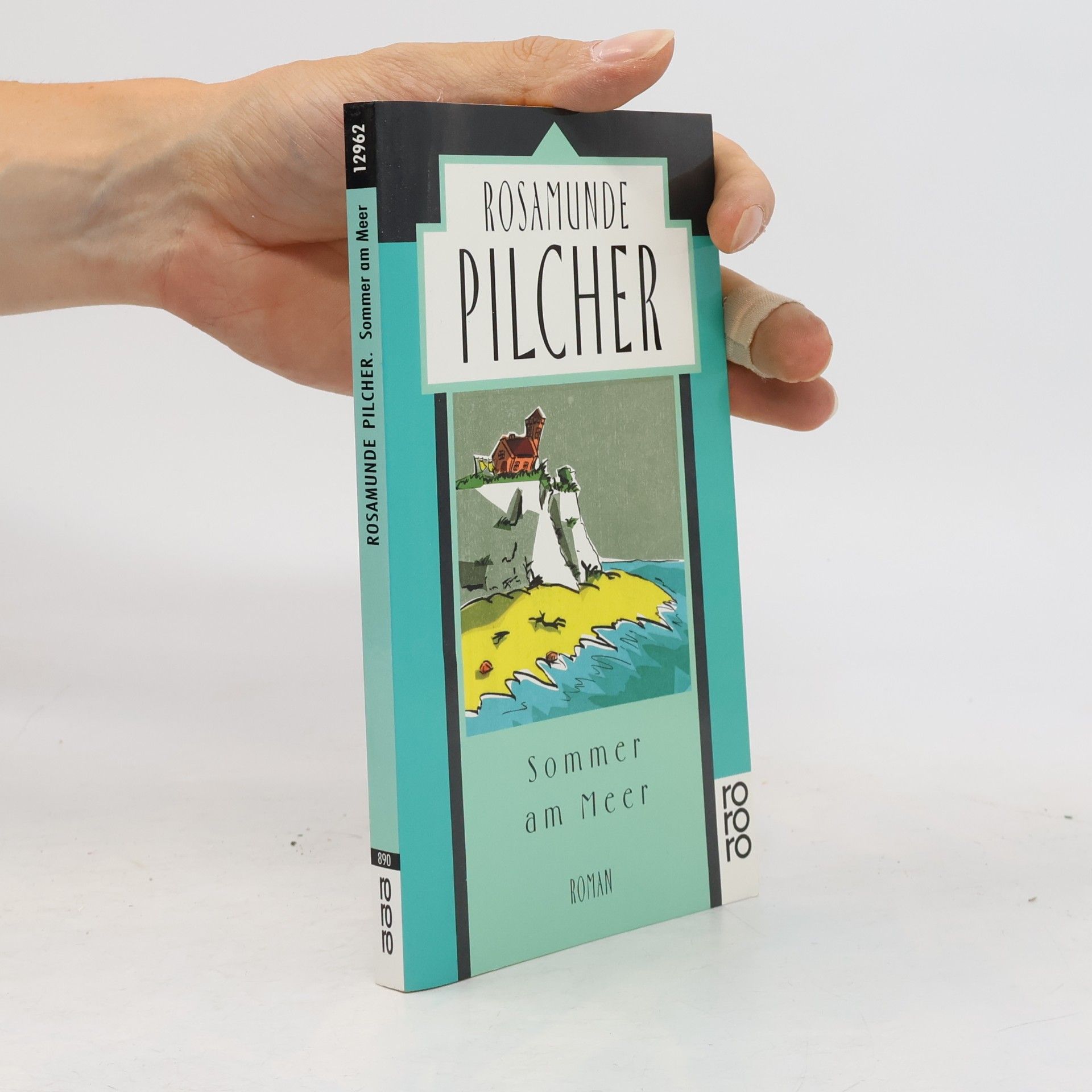 Rosamunde Pilcher Sommer am Meer