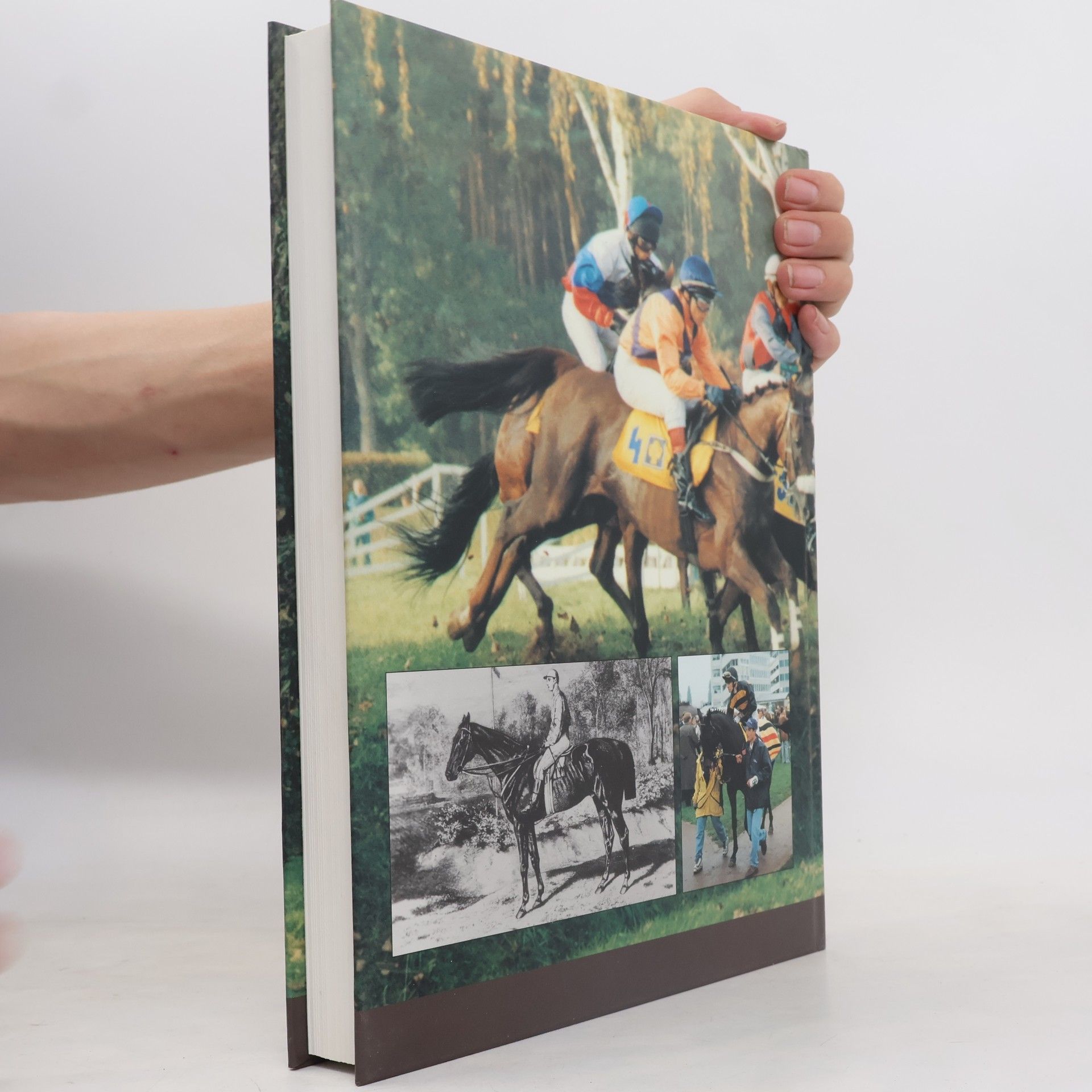 Jaroslav Hubálek Od Fantoma po Peruána: Historie 110 ročníků Velké pardubické : 1874-2000