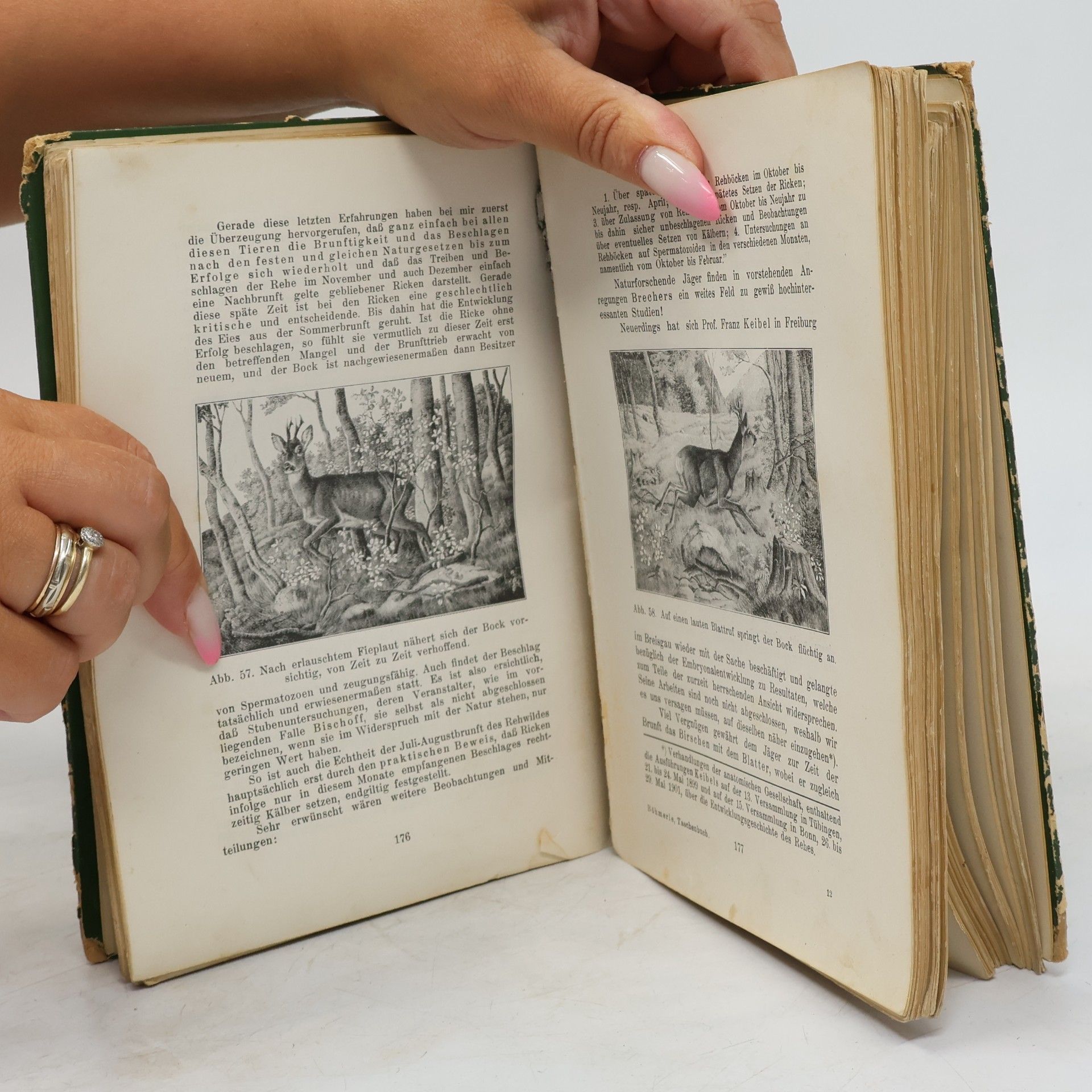 Emil Böhmerle Taschenbuch für Jäger und Jagdfreunde