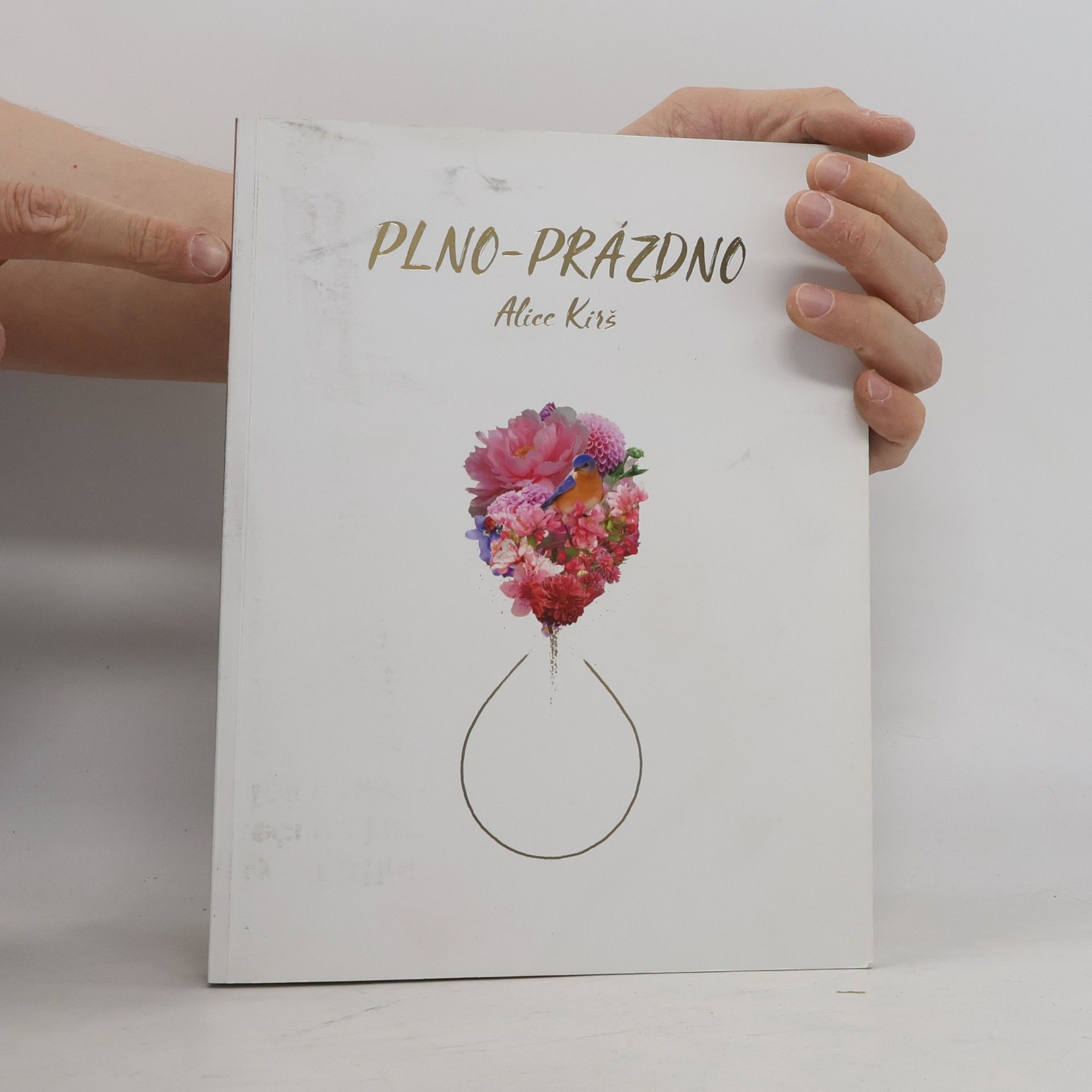 Alice Kirš Plno-Prázdno