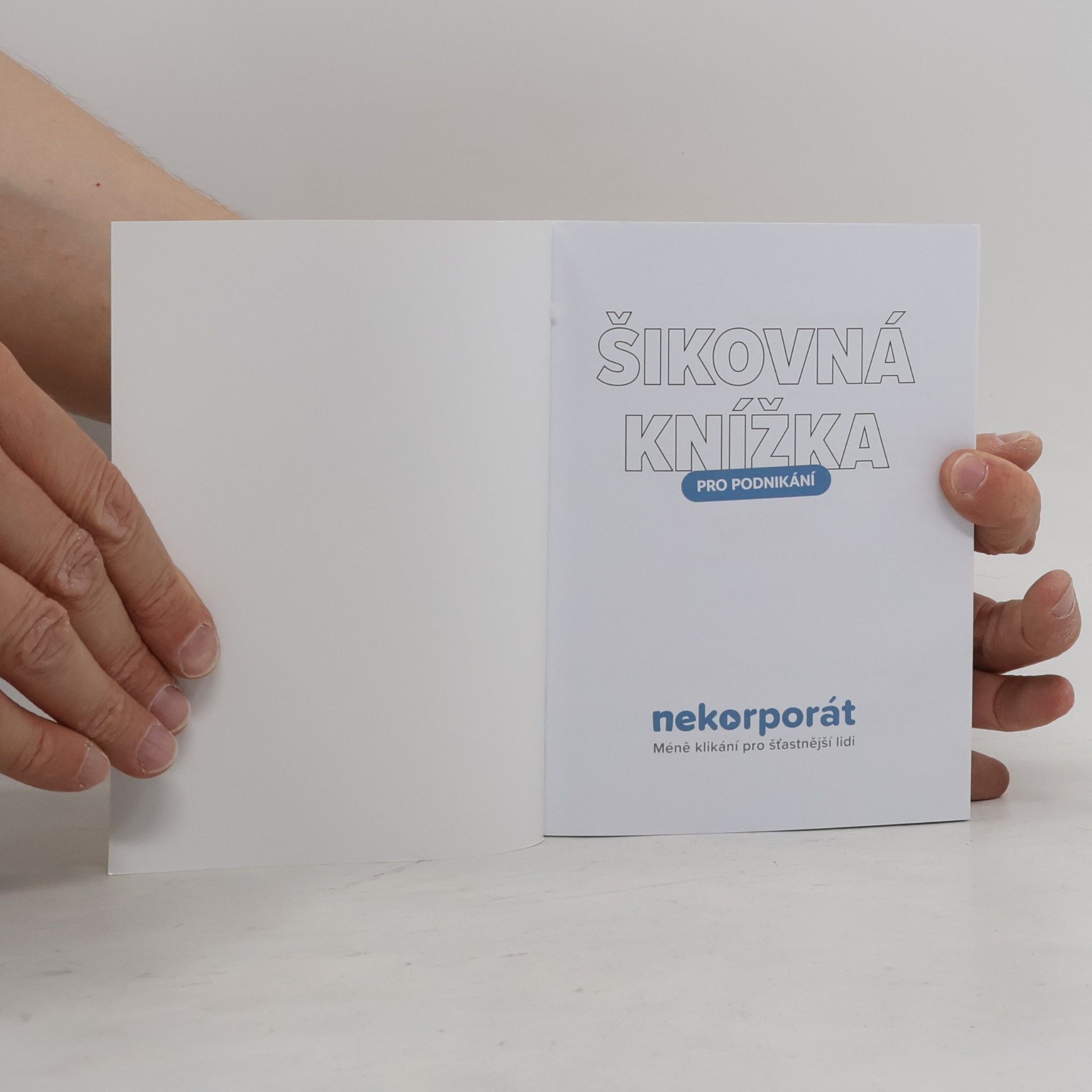 Collectif d'auteurs Šikovná knížka pro podnikání