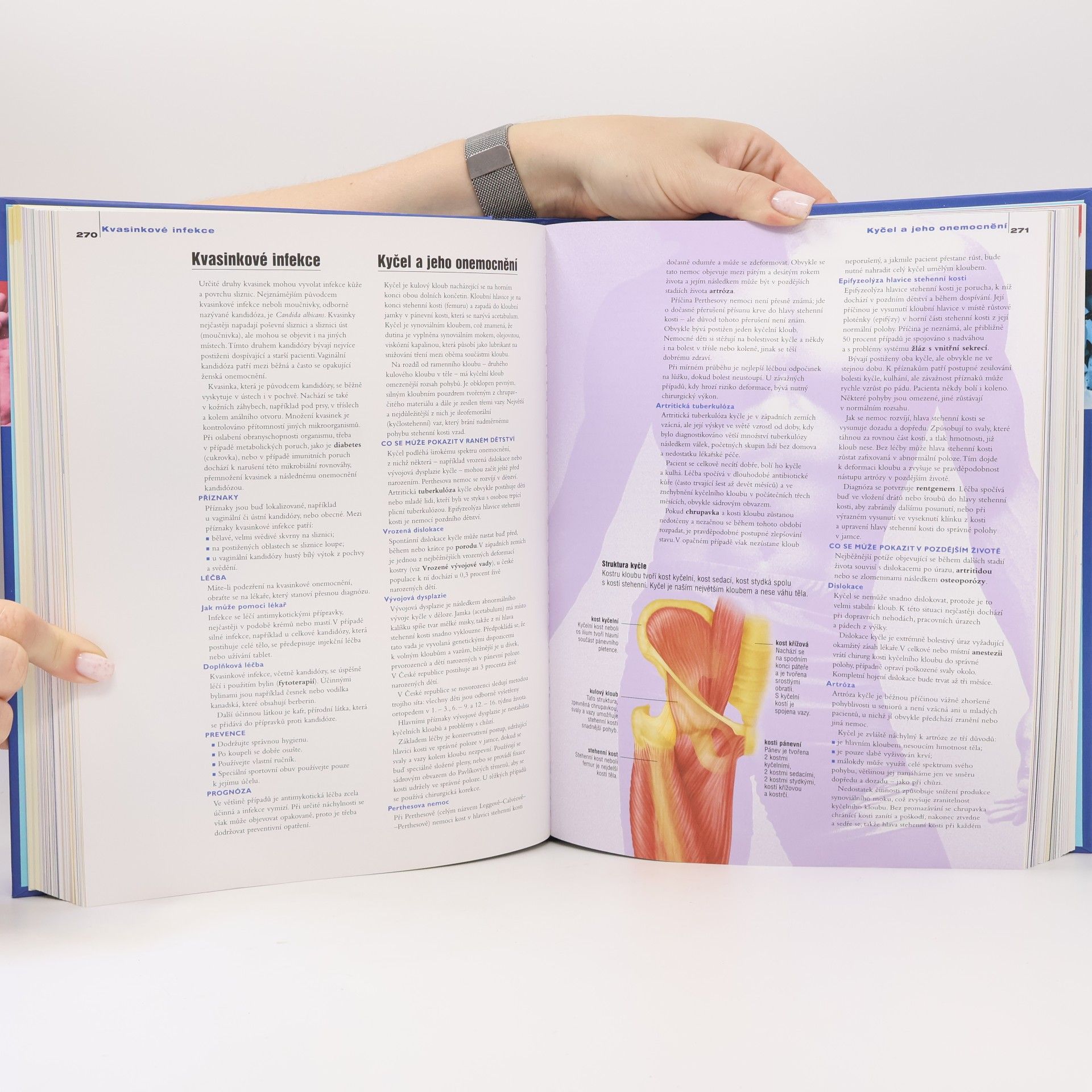 Autorenkollektiv Rodinná encyklopedie medicíny a zdraví