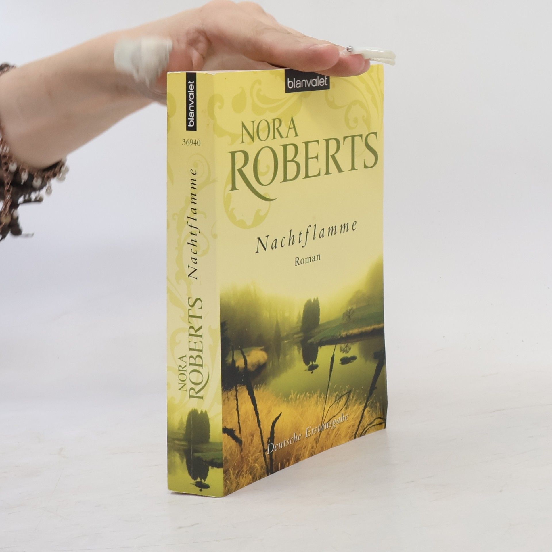 Nora Roberts Nachtflamme