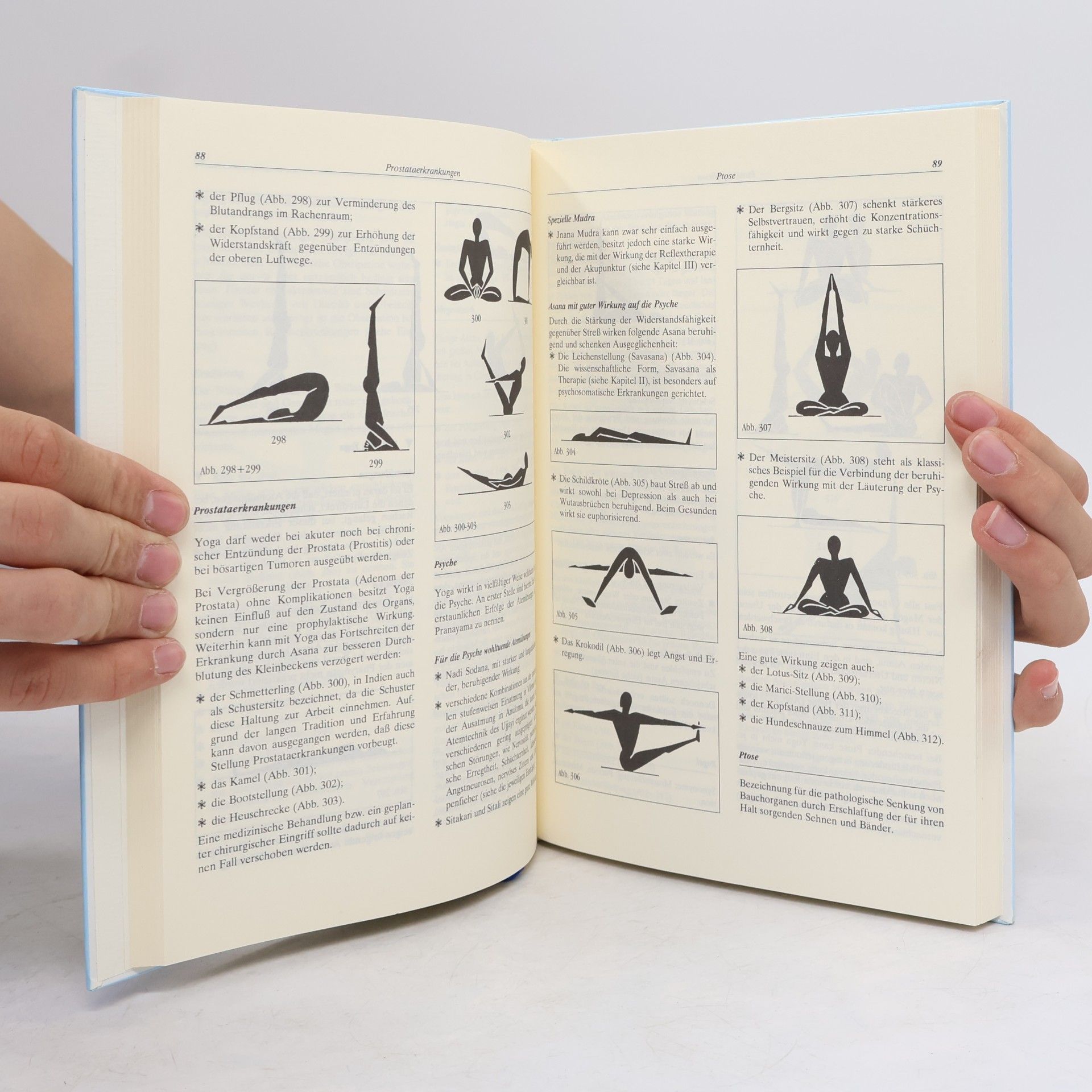 Pierre Jacquemart Yoga als Therapie