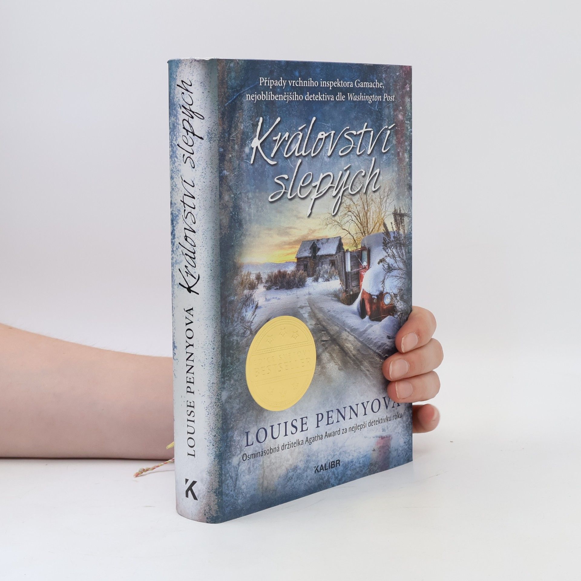 Louise Penny Království slepých