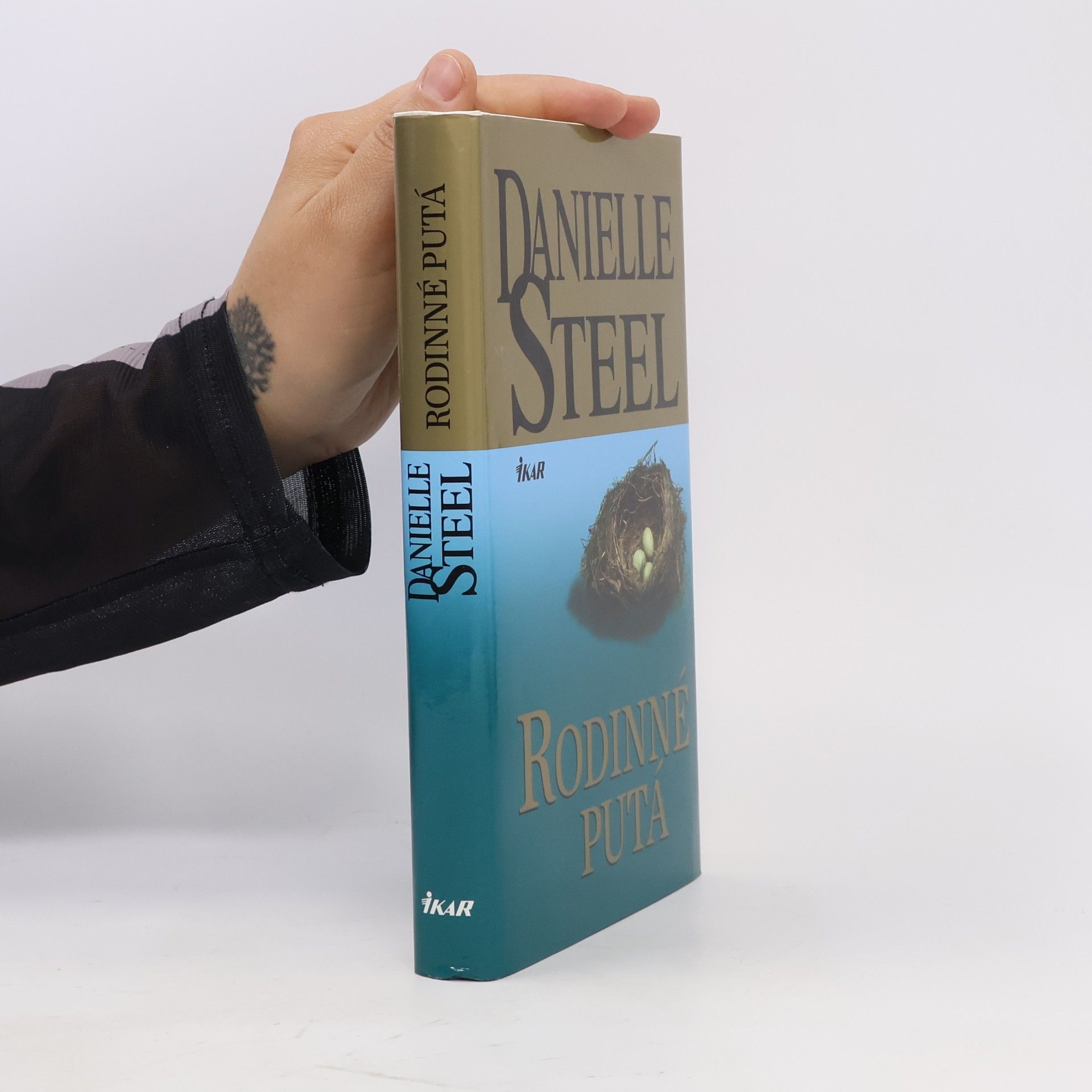 Danielle Steel Rodinné putá