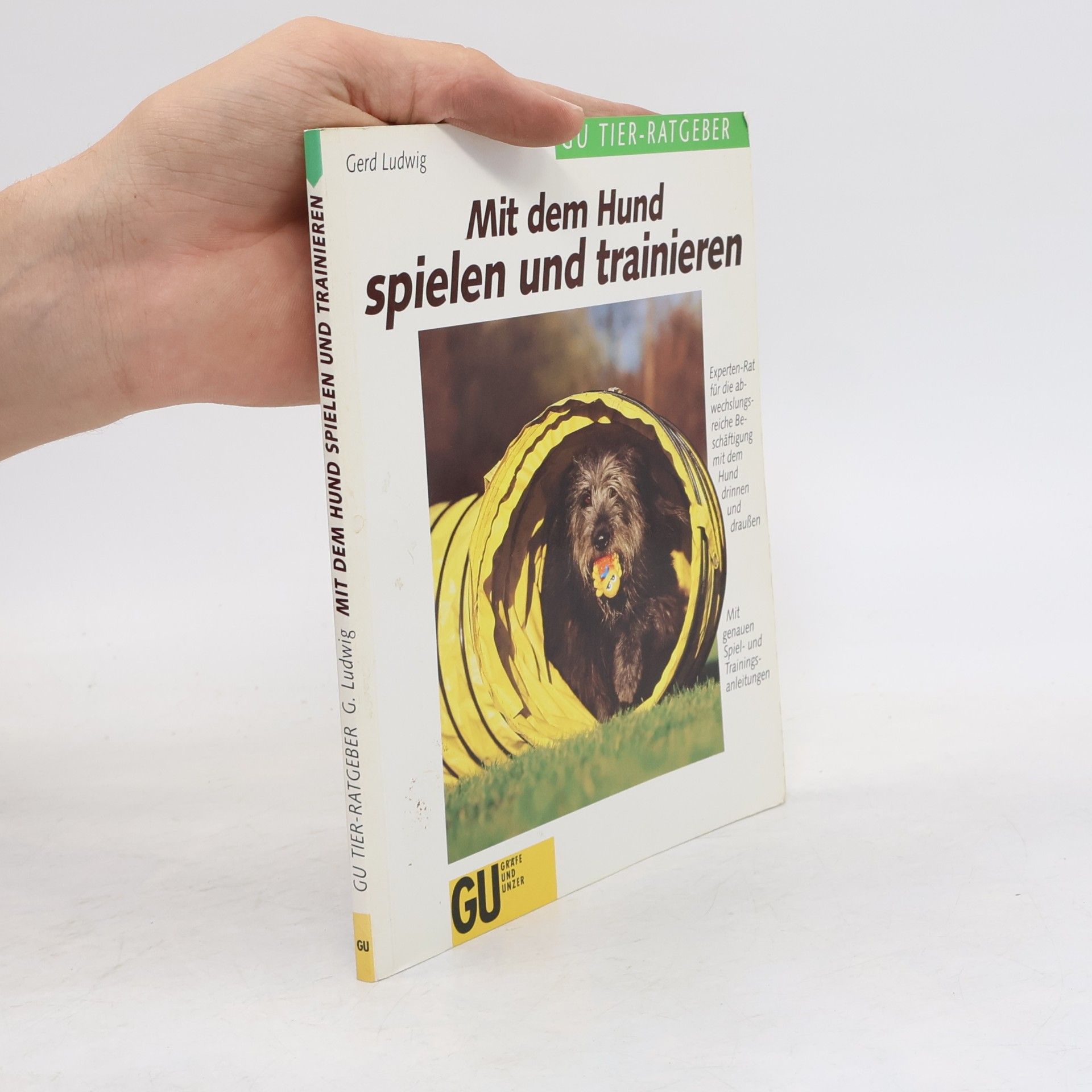 Mit dem Hund spielen und trainieren