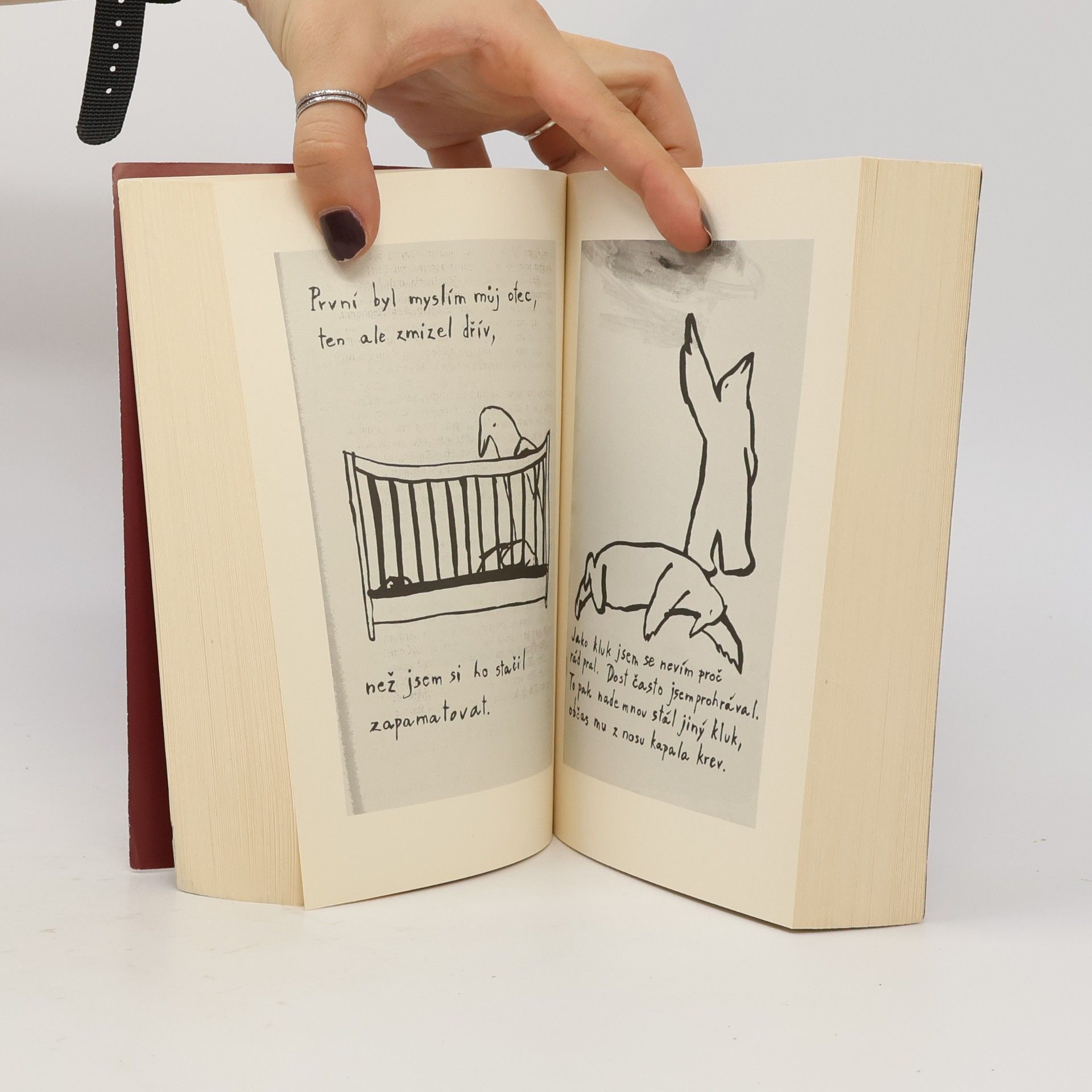Markus Zusak Zlodějka knih